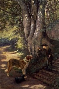 A Game Of Ball