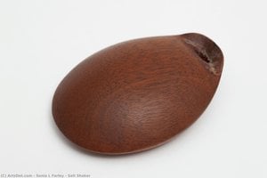 Salt Shaker — Sonia L Farley