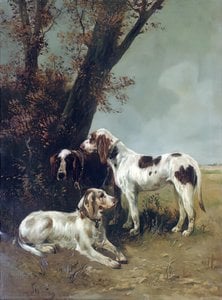 Before The Hunt — Henry Schouten
