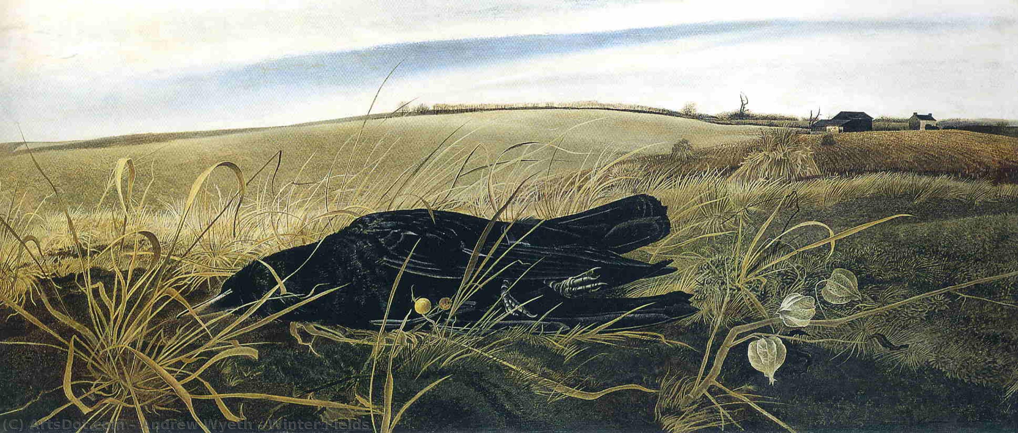 Andrew Newell Wyeth - Winter Fields