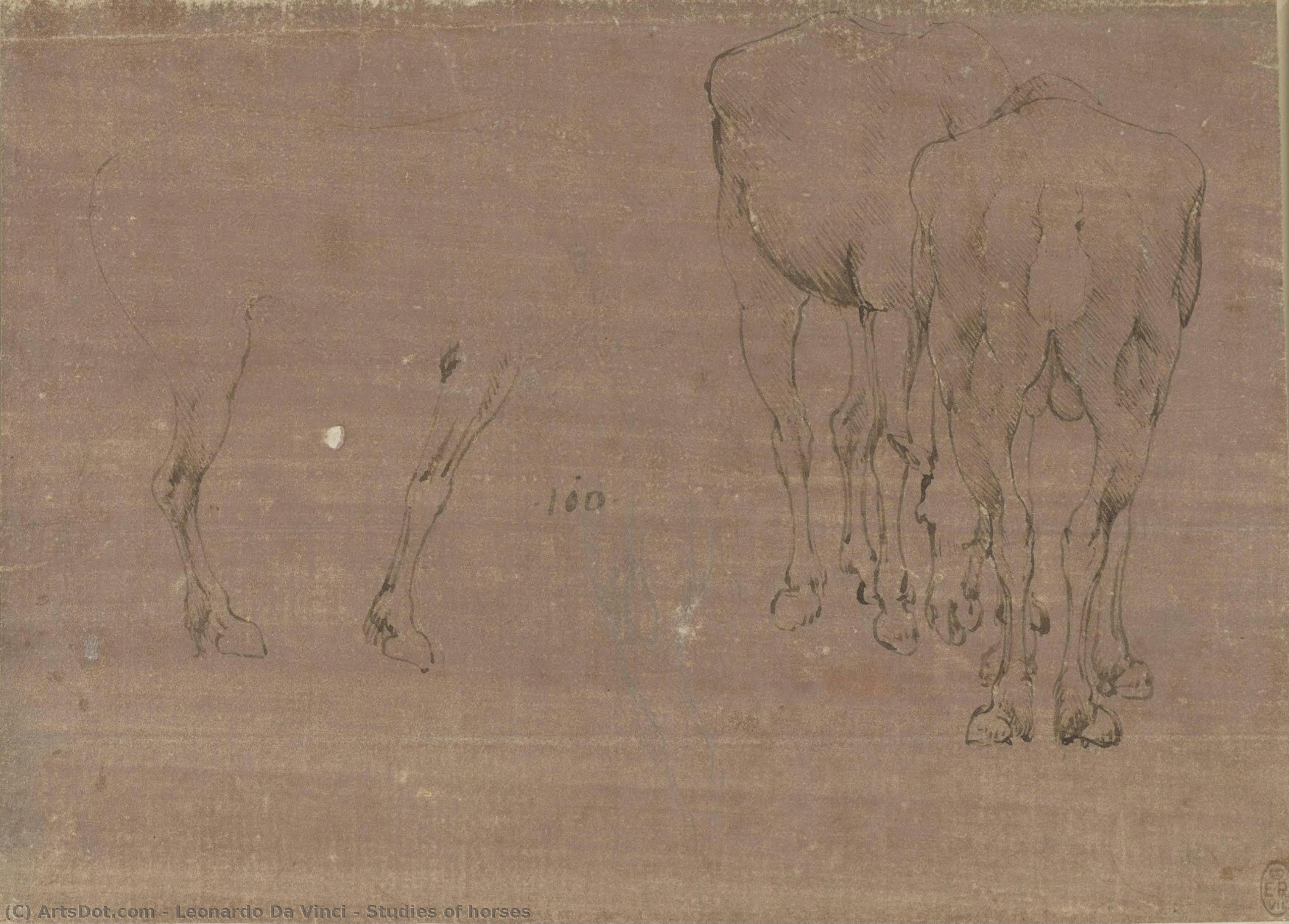 Léonard de Vinci - Études de chevaux