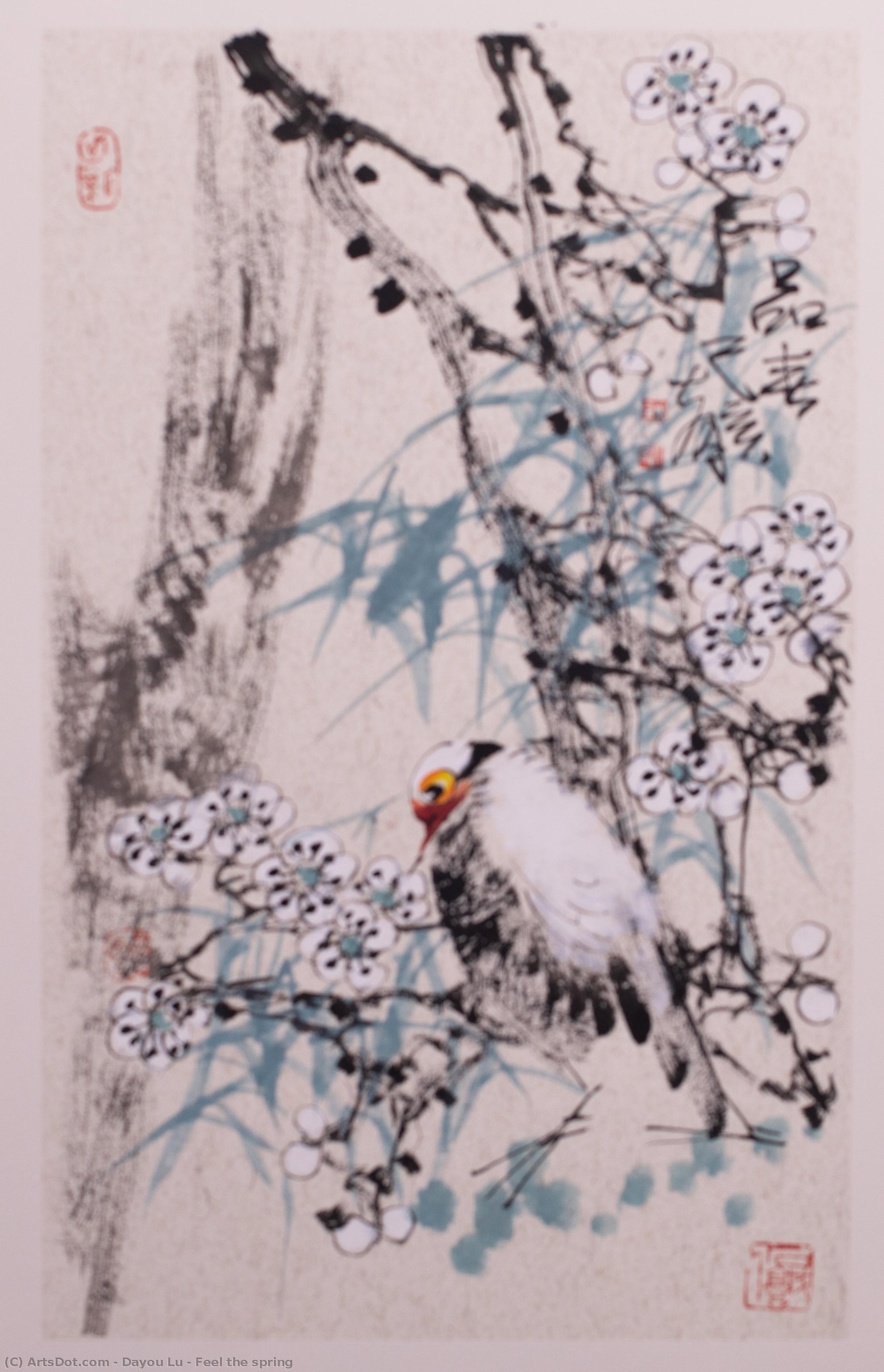 Feel The Spring — Dayou Lu