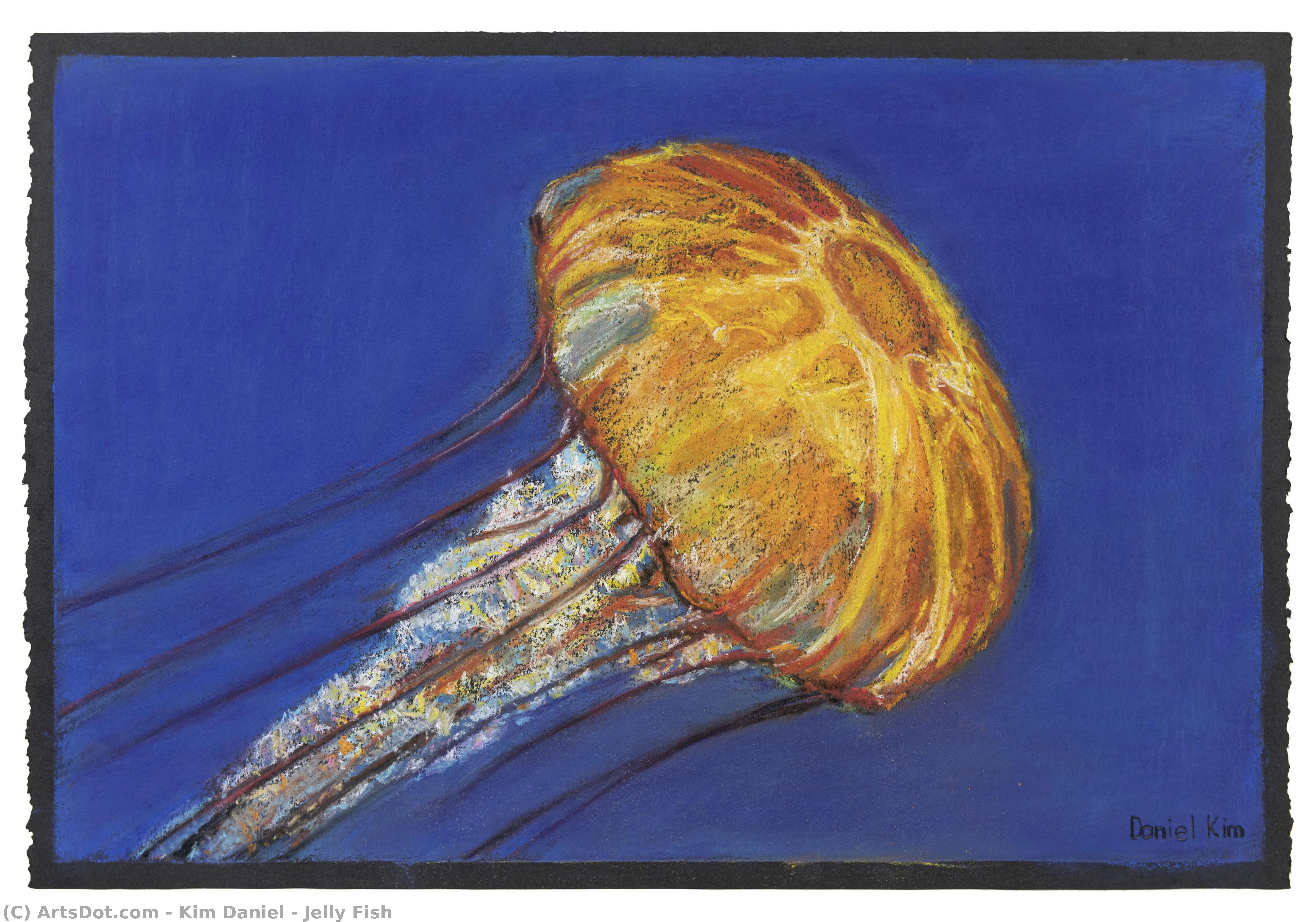 Jelly Fish — Daniel Kim