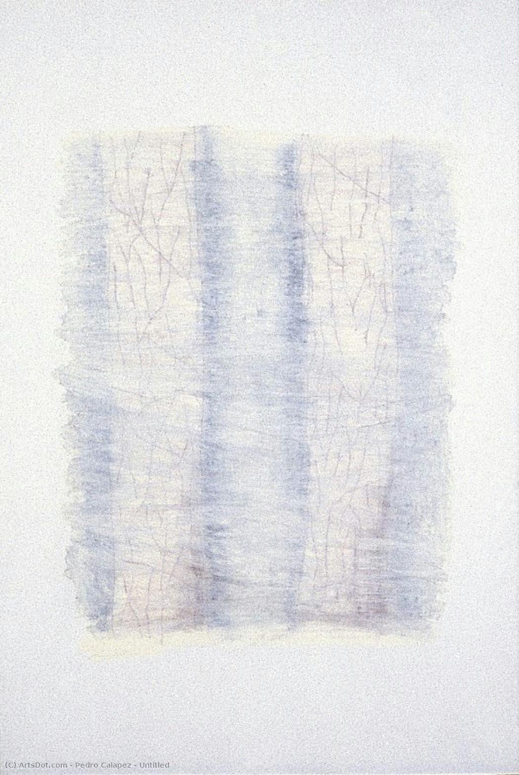 Untitled — Pedro Calapez