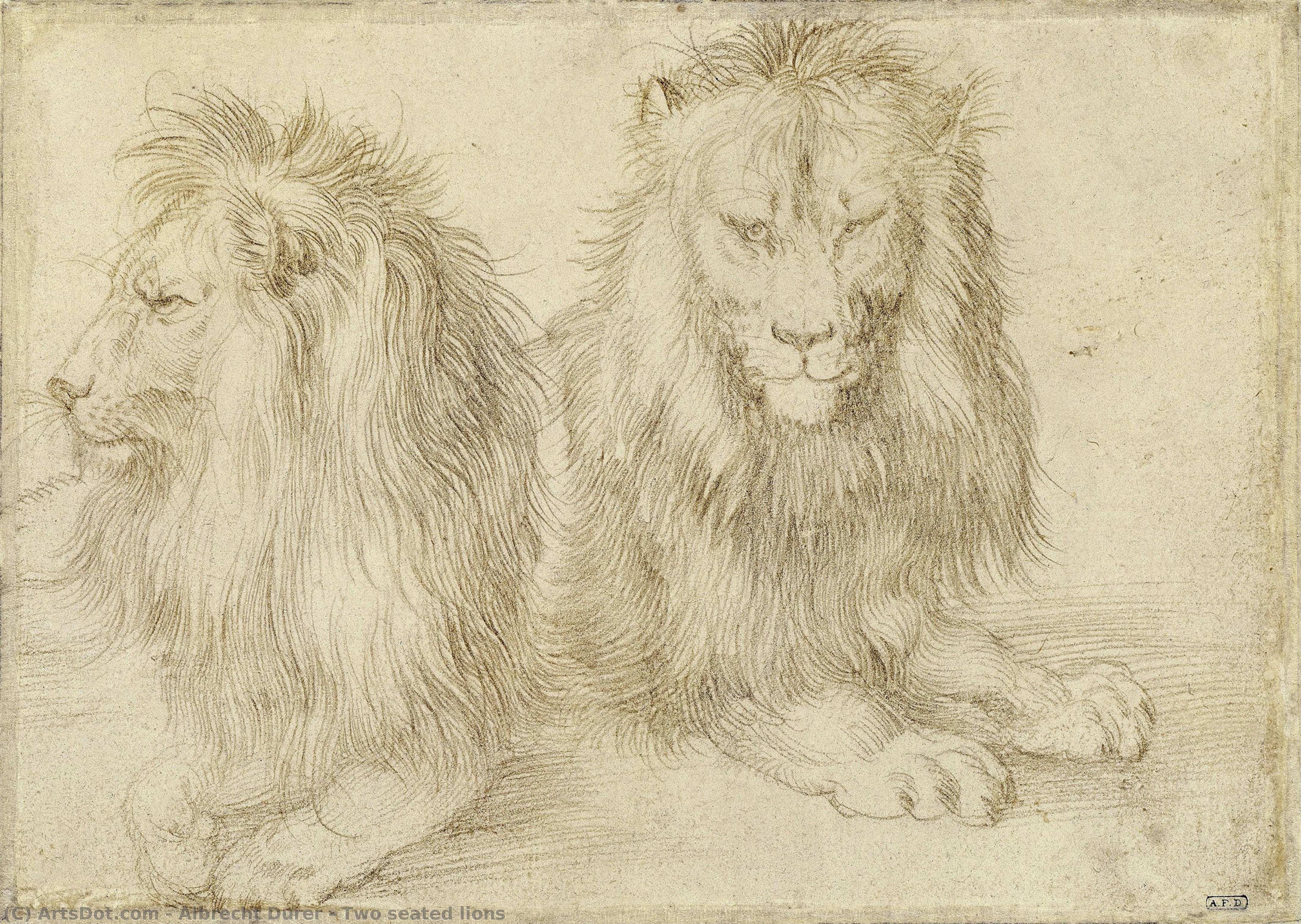 Албрехт Дюрер - Two seated lions