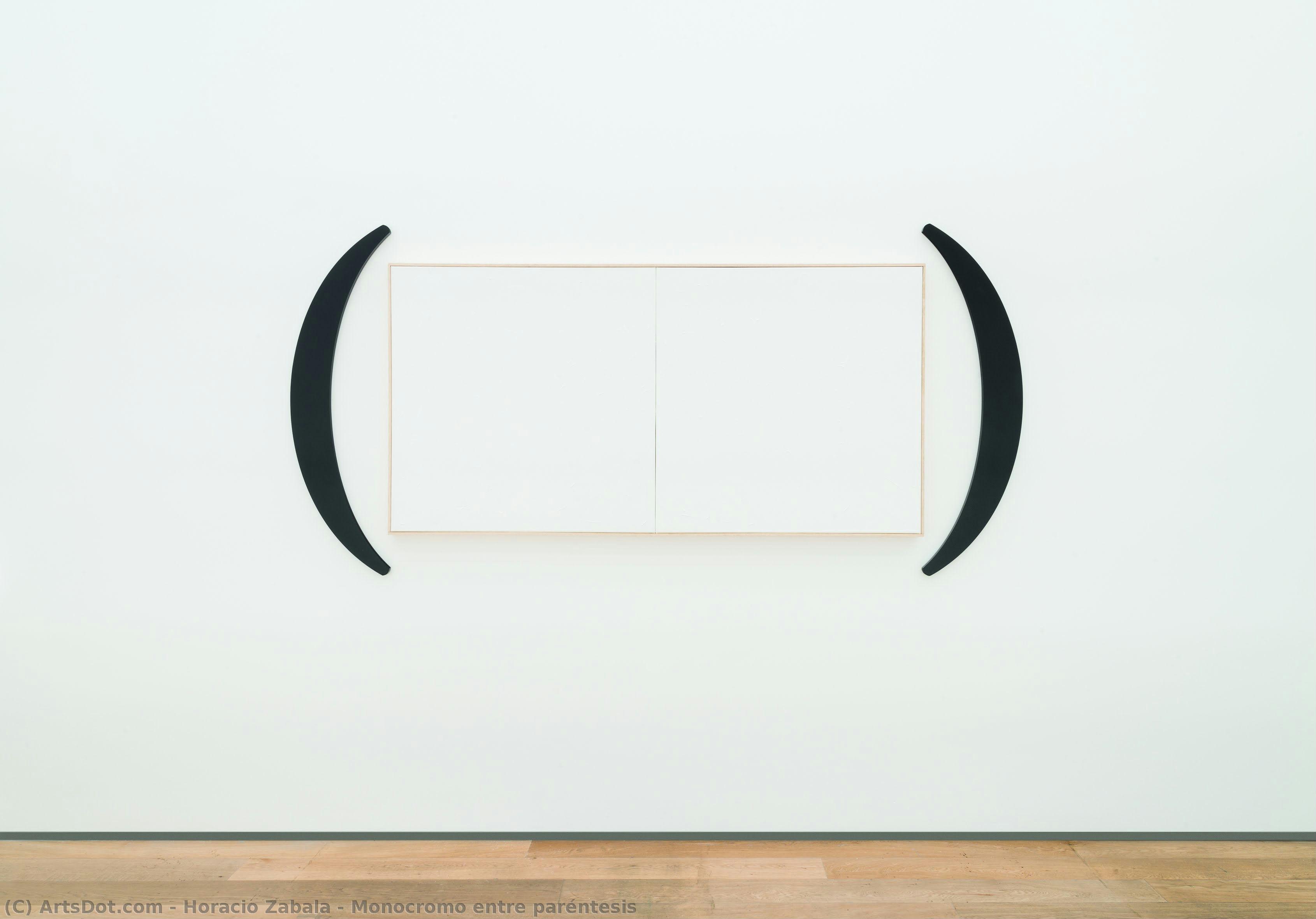 Horacio Zabala - Monocromo entre paréntesis