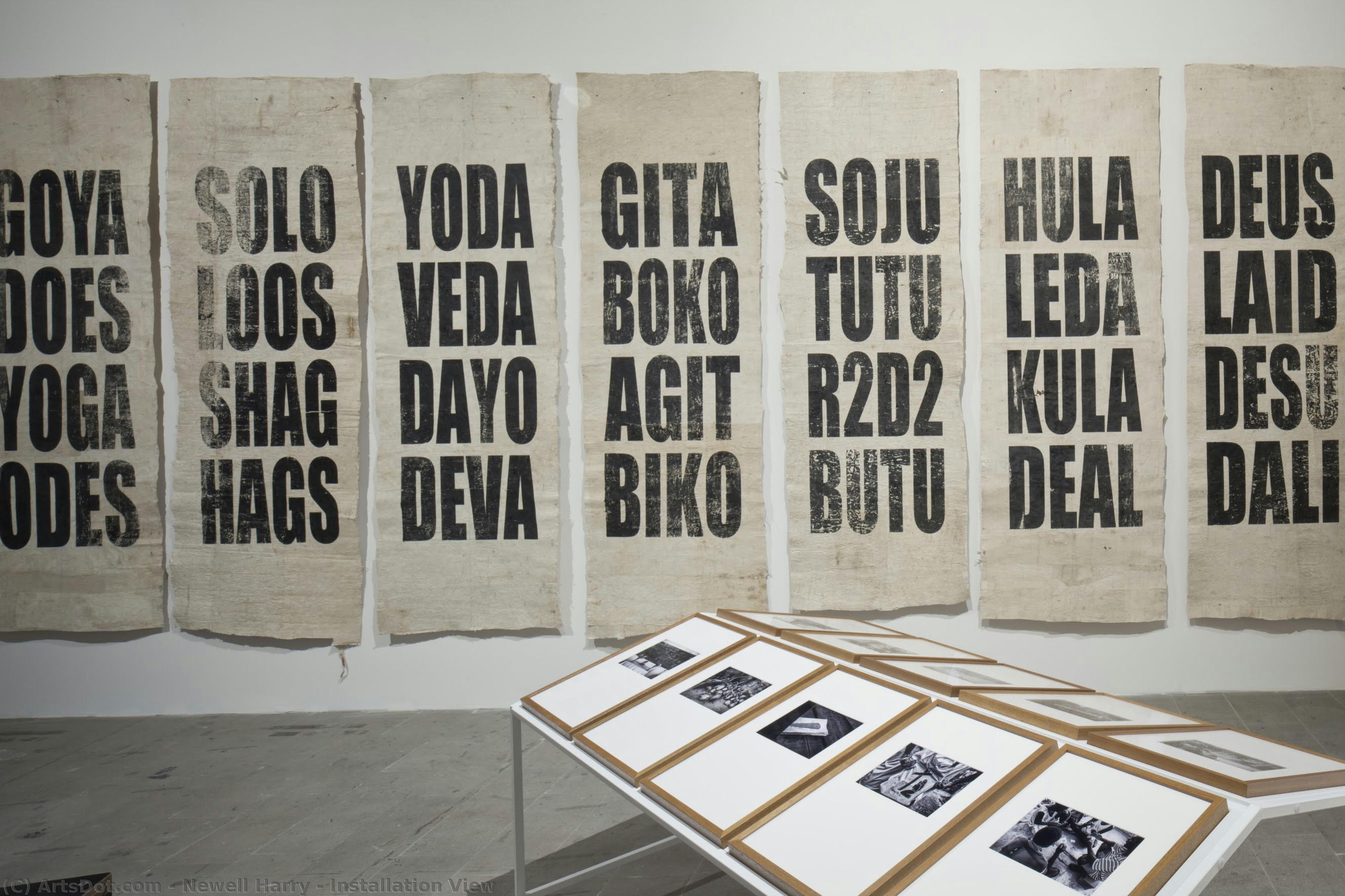 Installation View — Newell Harry