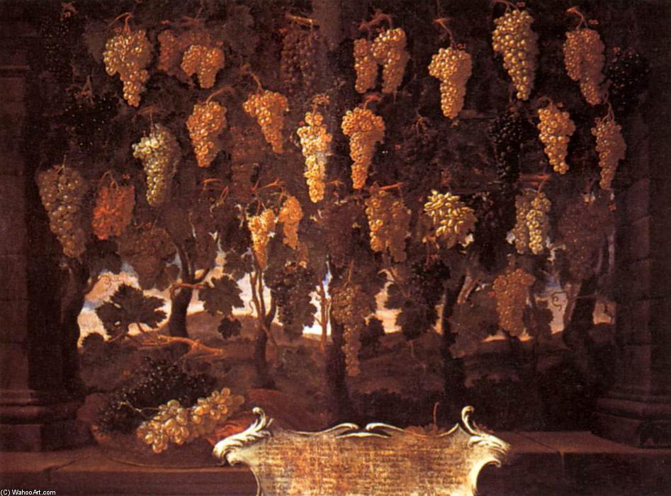 Grapes — Bartolomeo Bimbi