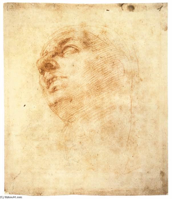 Study Of A Head Looking Upward (recto) — Michelangelo Buonarroti