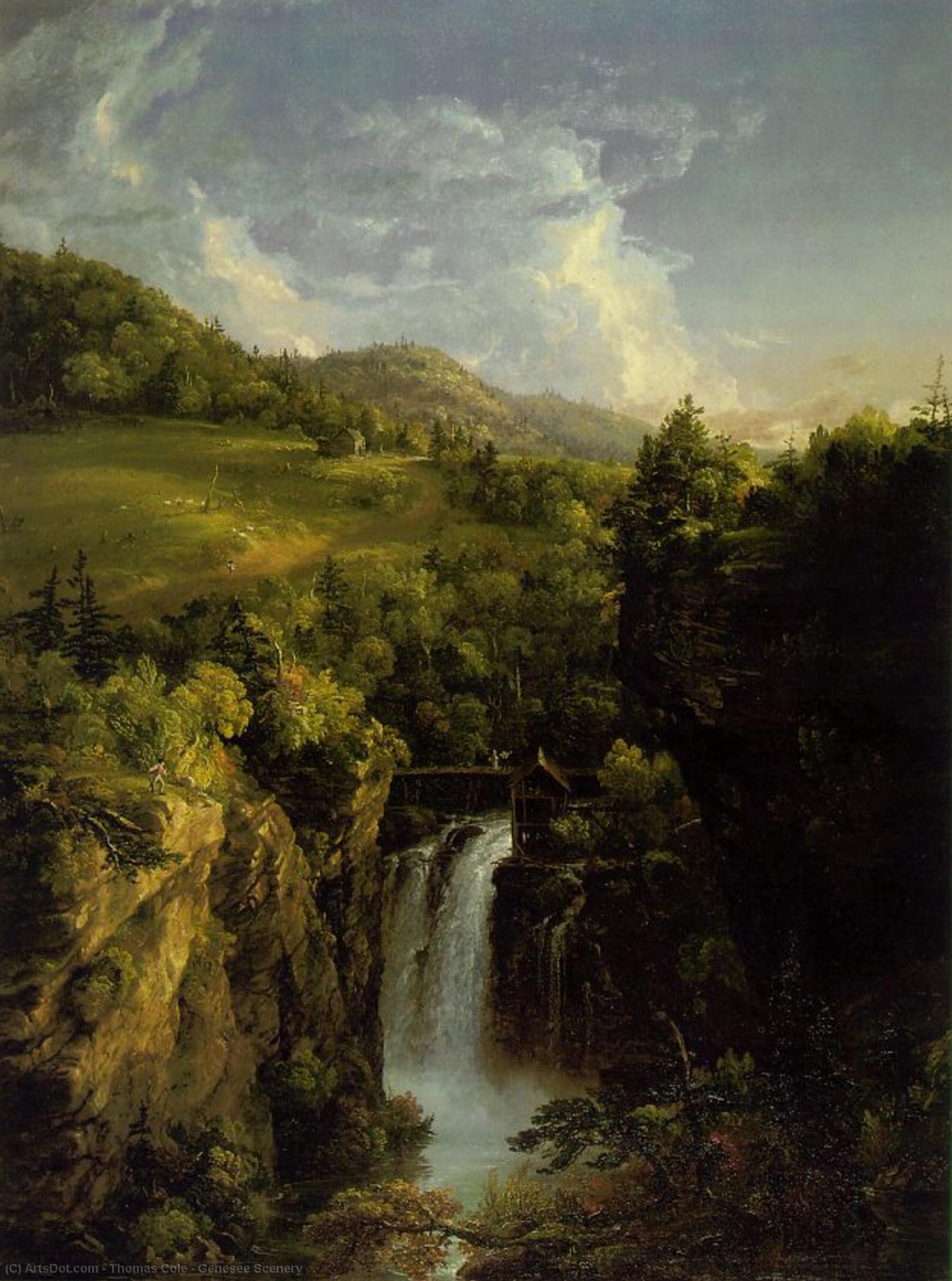 Genesee Scenery — Thomas Cole