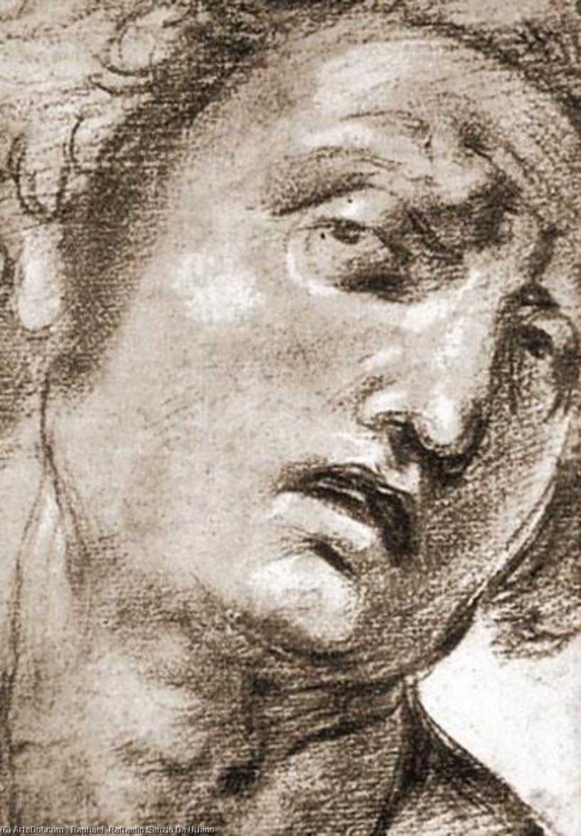 Rafaelis - Study for the Head