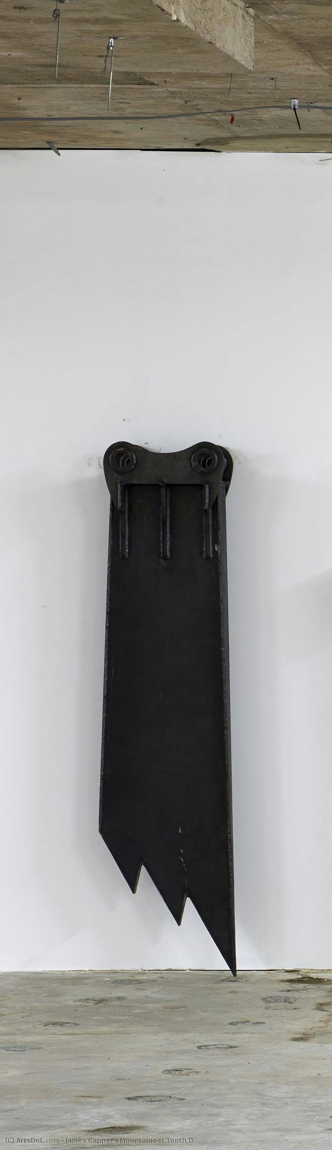 Mountaineer Tooth D — James Capper