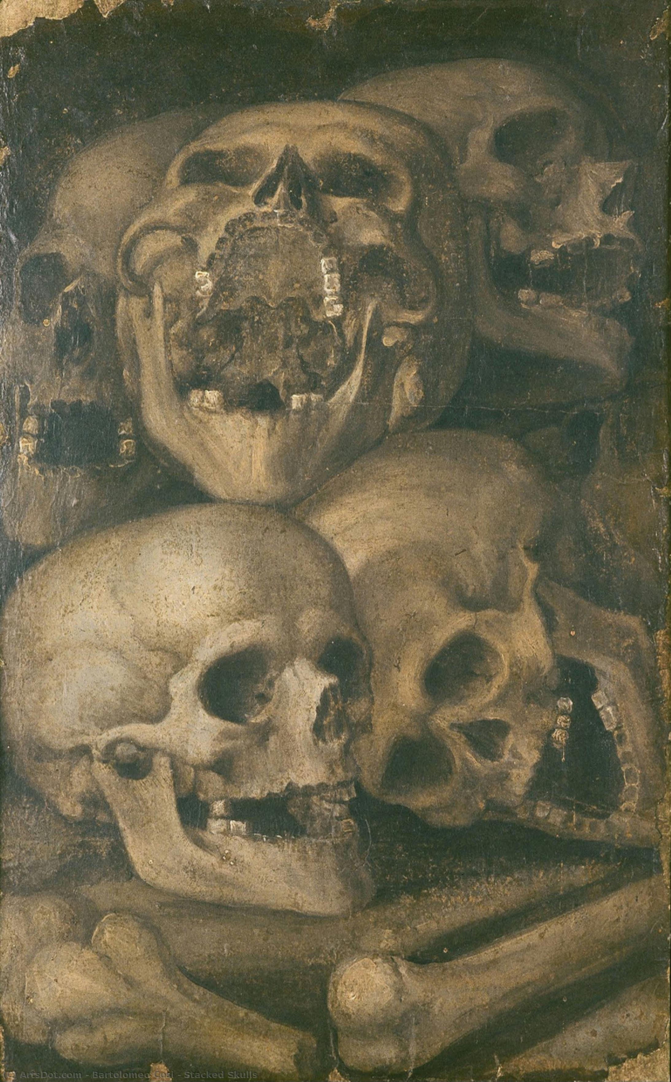 Stacked Skulls — Bartolomeo Cesi