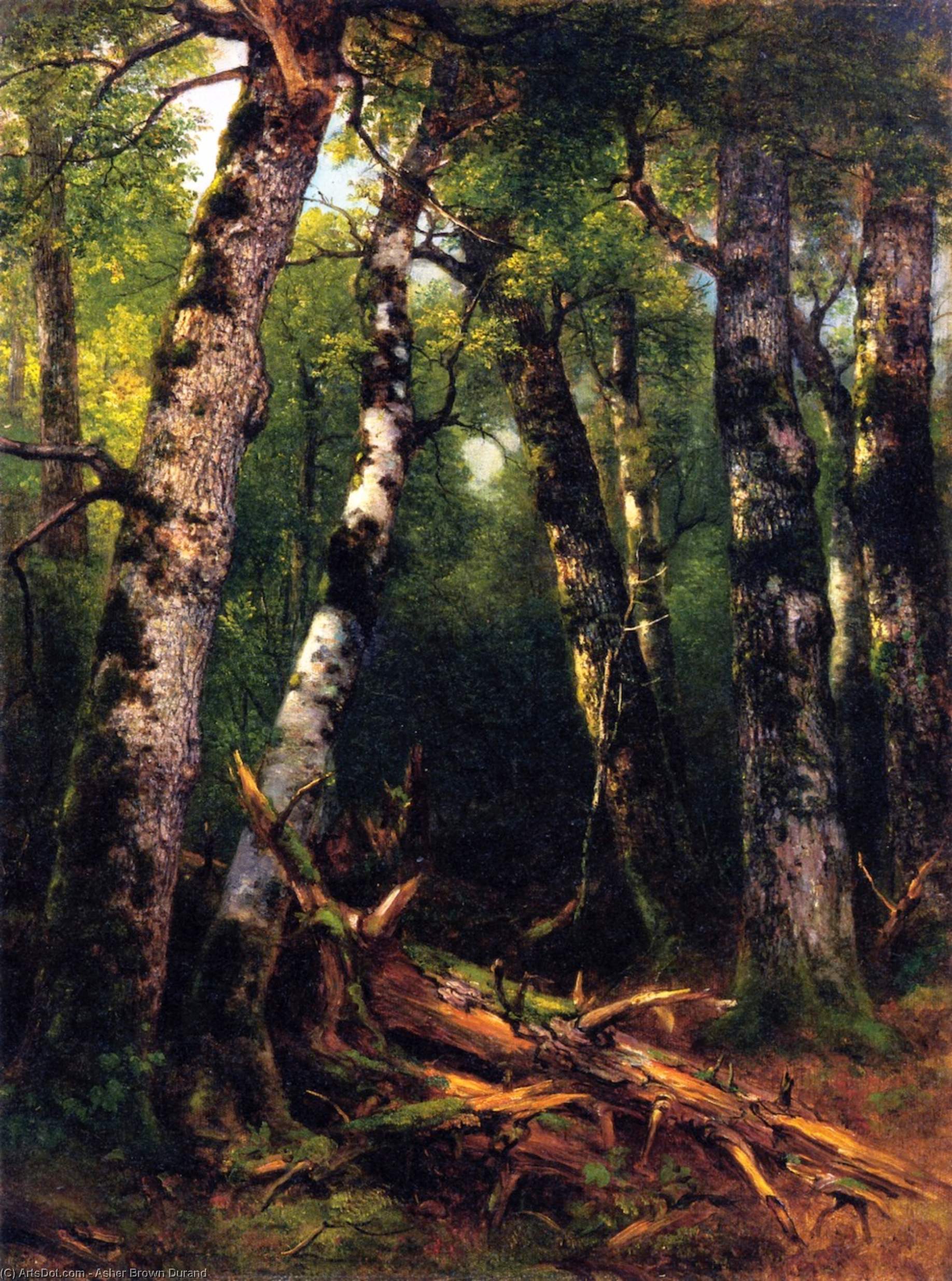 Baumgruppe — Asher Brown Durand