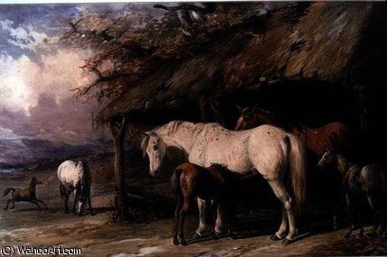 Mares And Foals — William Barraud