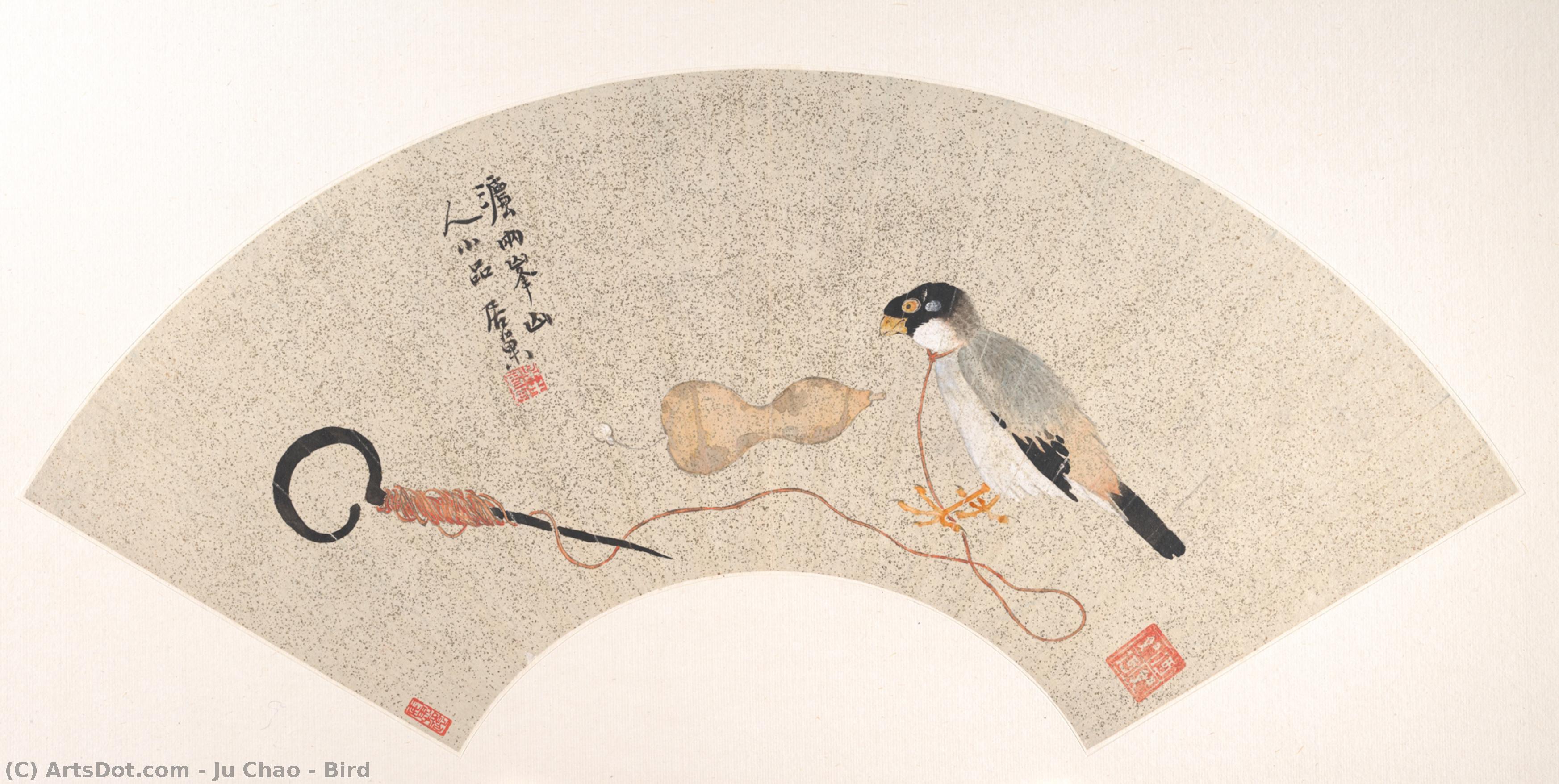 Bird — Ju Chao