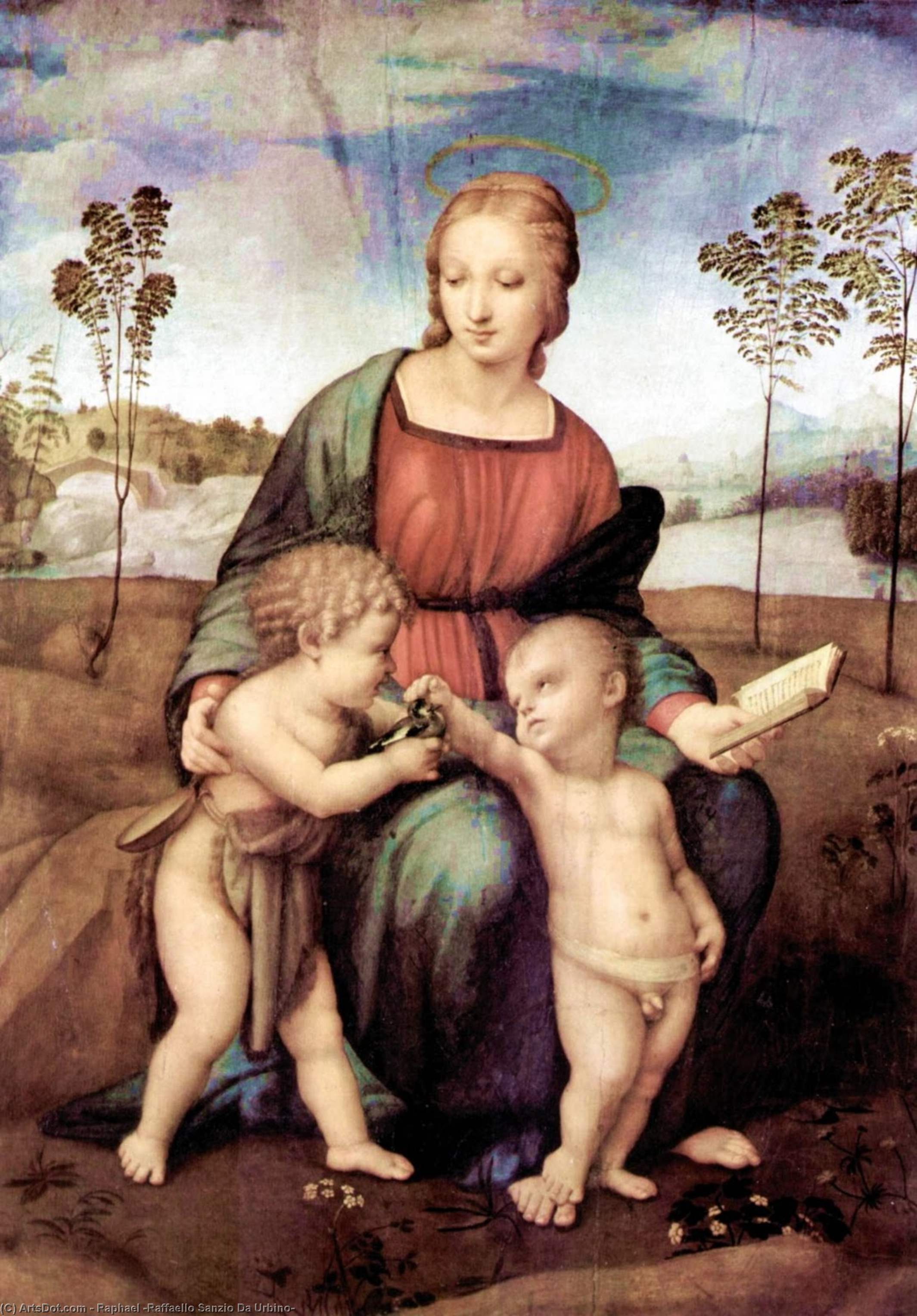 Madonna Da Pomba — Rafael