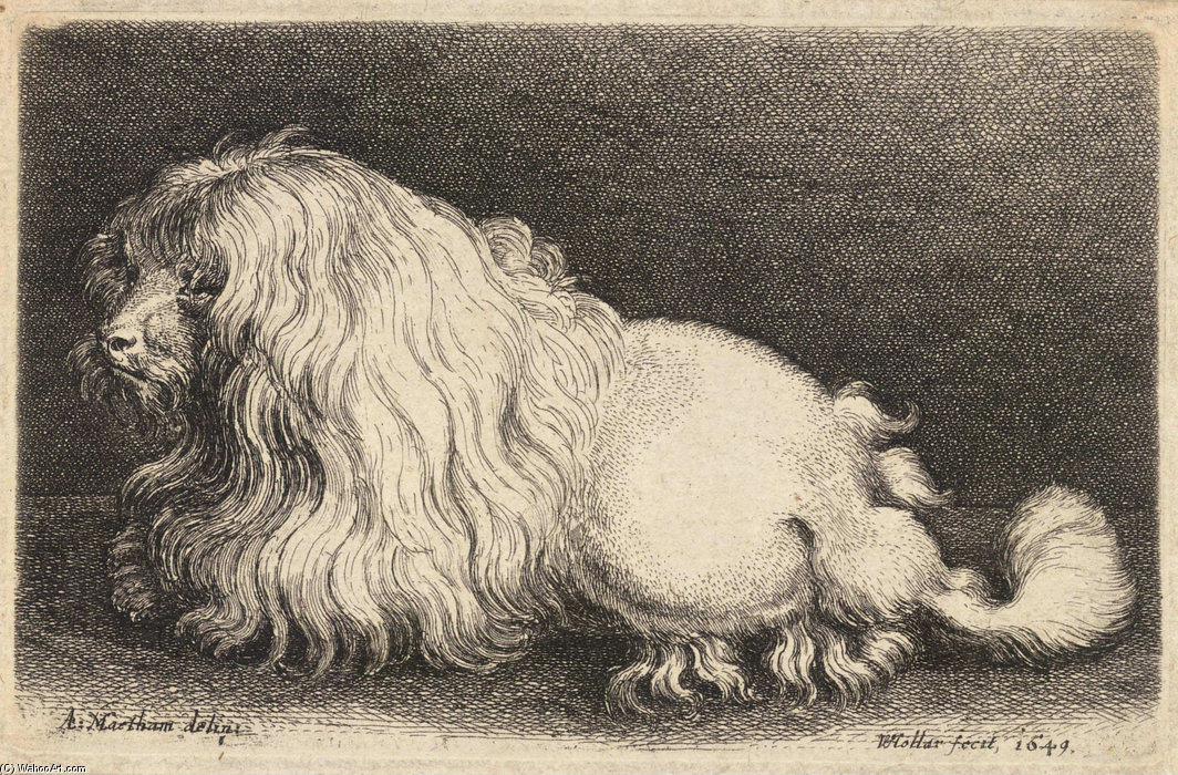 A Poddle After Matham — Jacob Matham