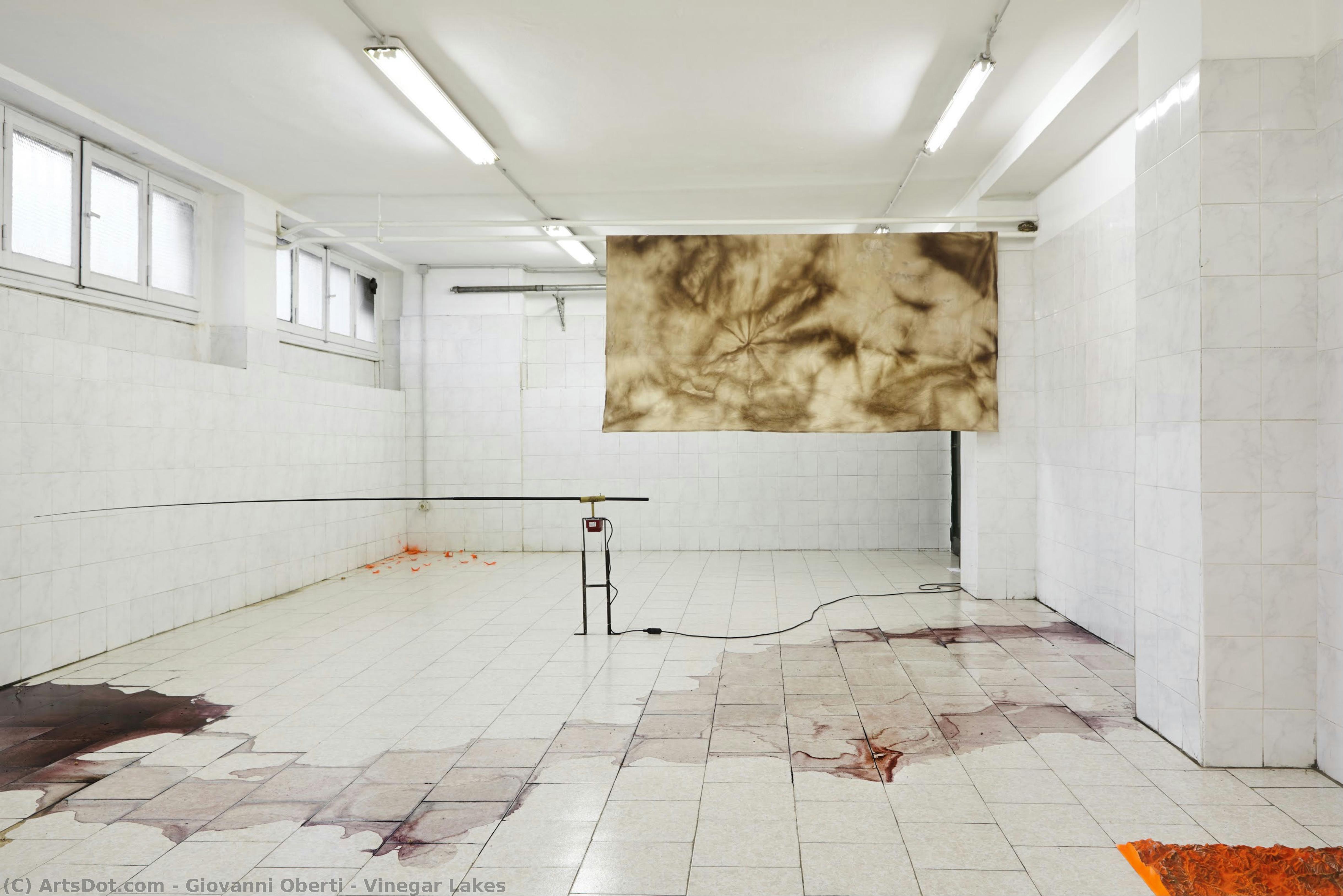 Vinegar Lakes — Giovanni Oberti