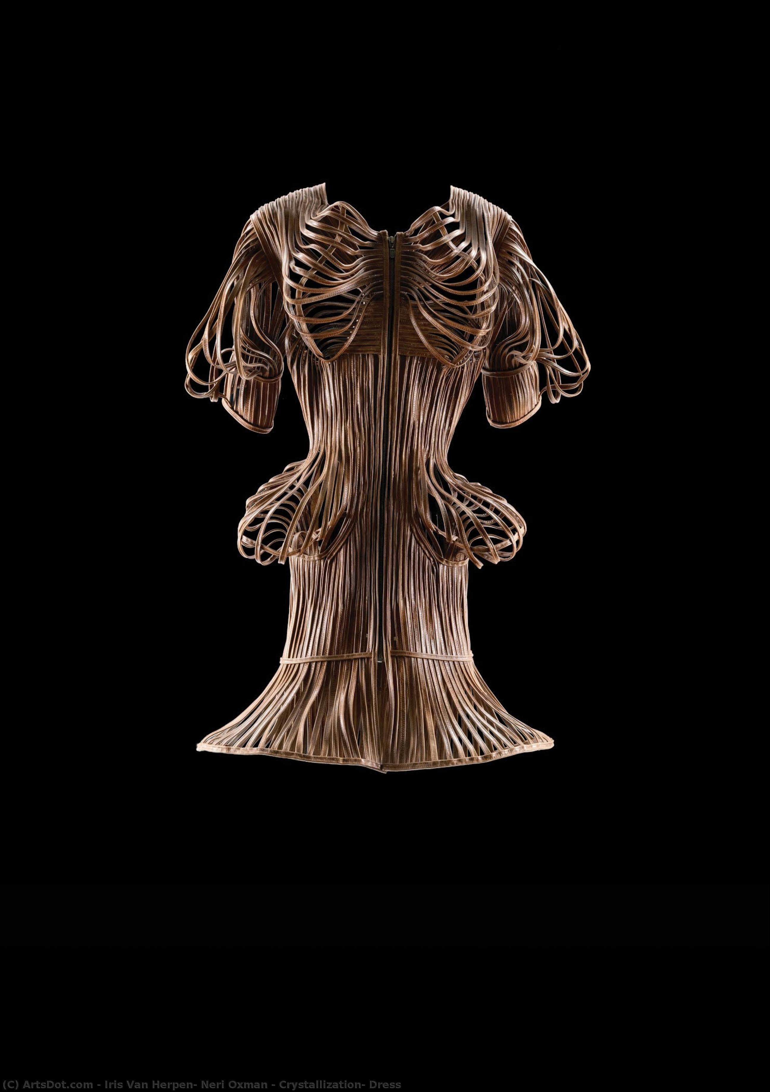 Iris Van Herpen, Neri Oxman - Crystallization, Dress