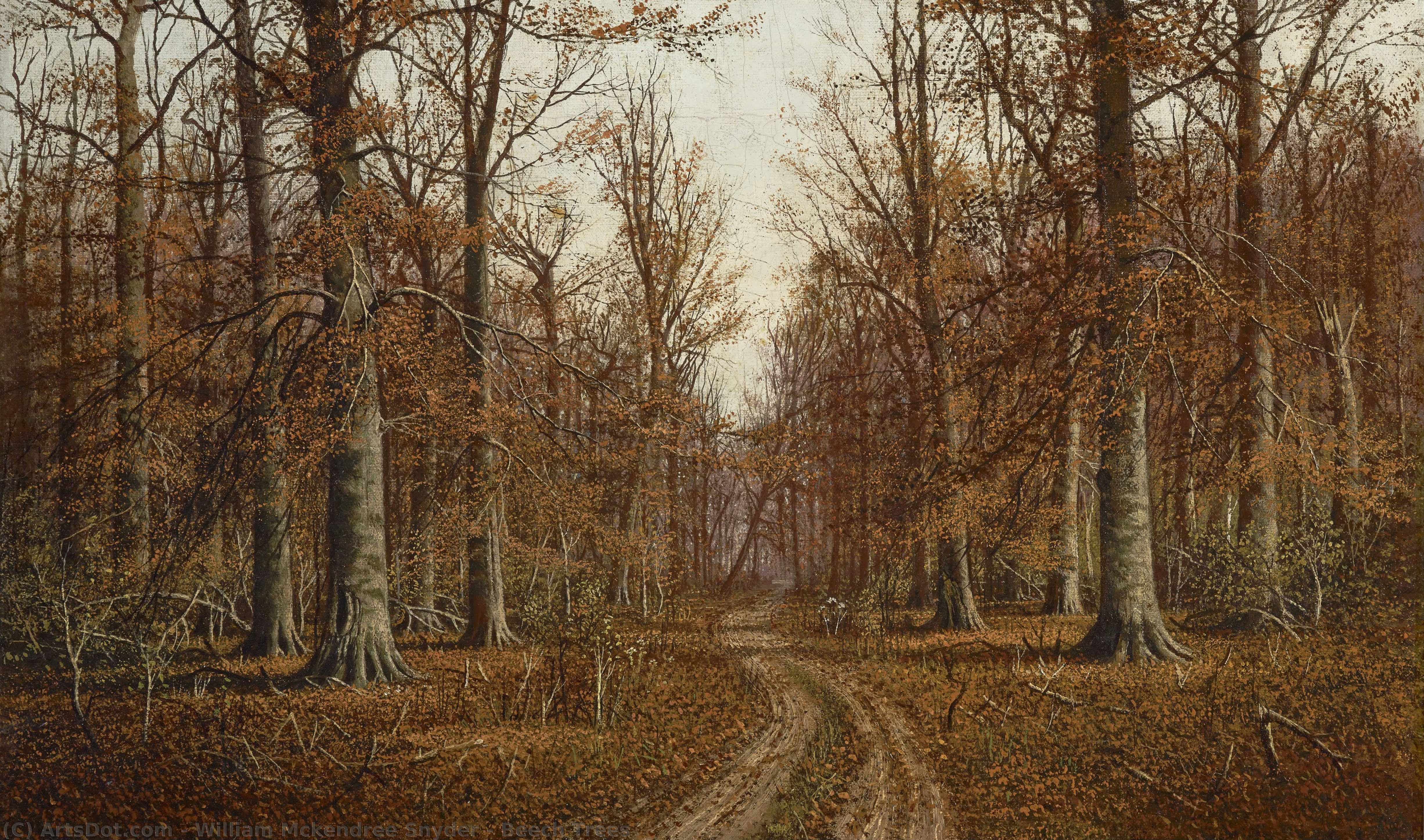 Beech Trees — William Mckendree Snyder