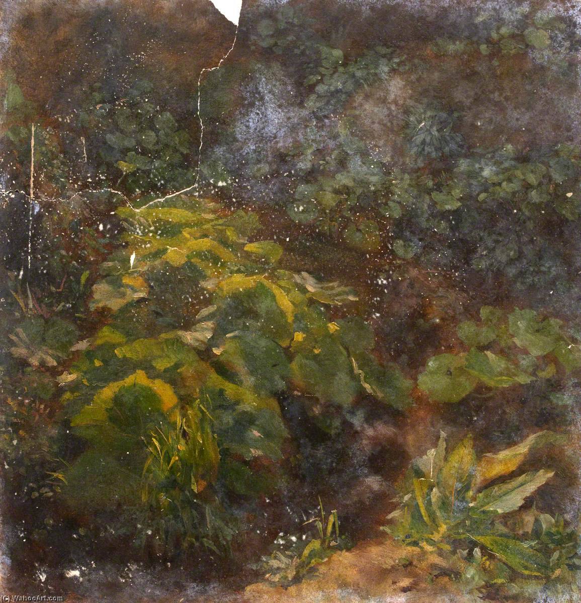 Plant Study — Thomas Stuart Smith