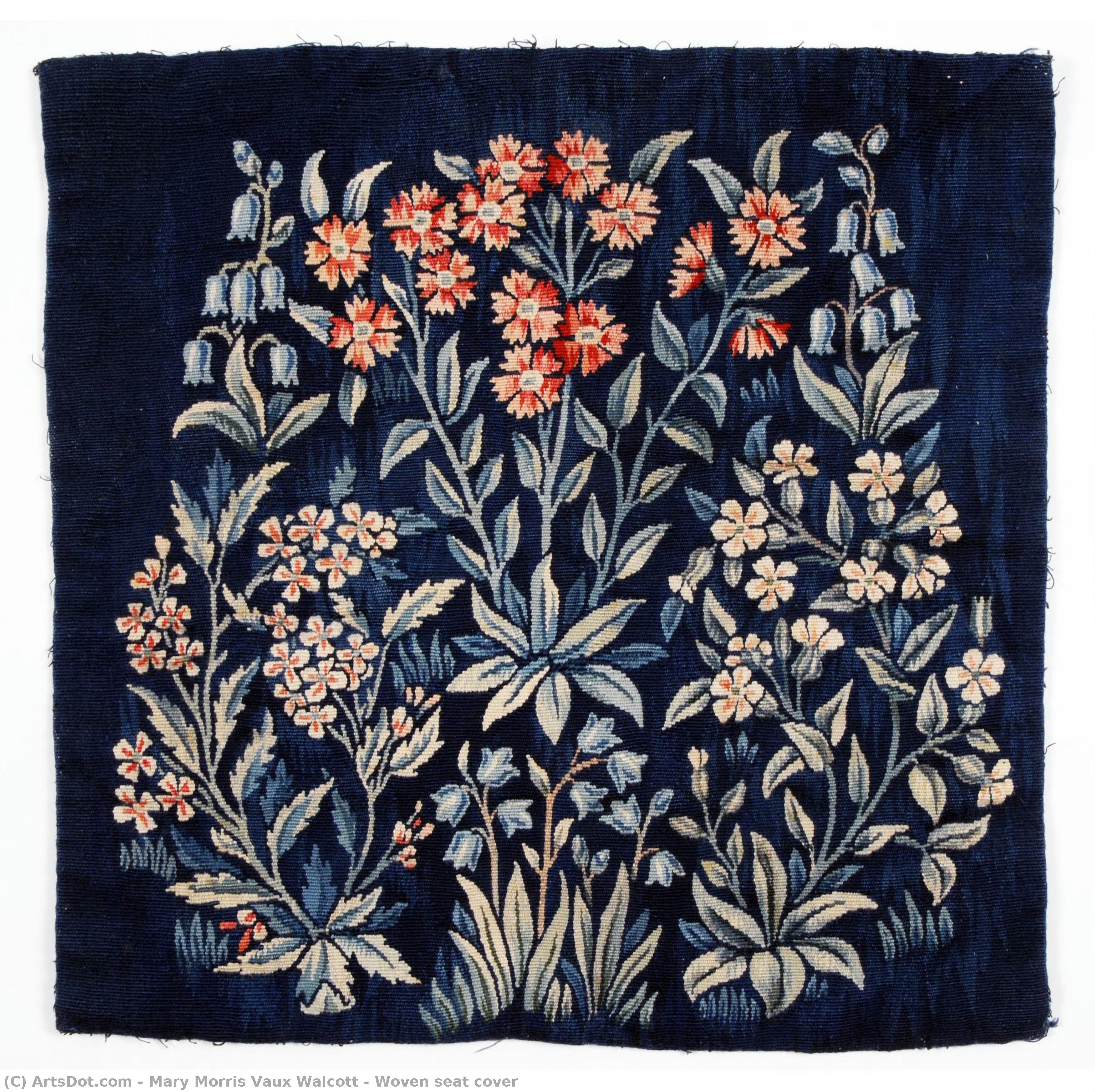 Cobertura Azul De Asiento Tejido — Mary Morris Vaux Walcott