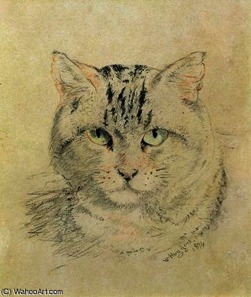 Tabby Cat, — William Huggins