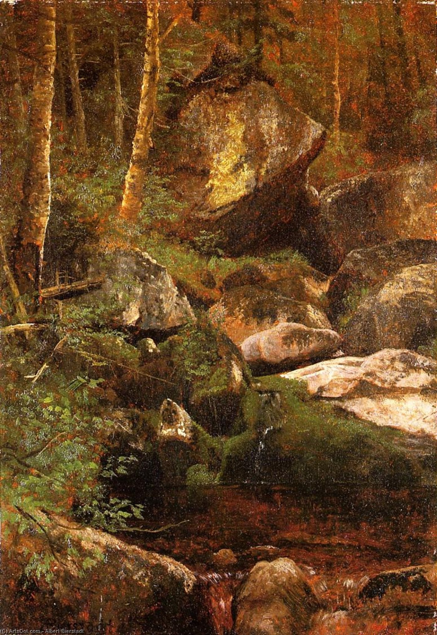 Forest Stream — Albert Bierstadt
