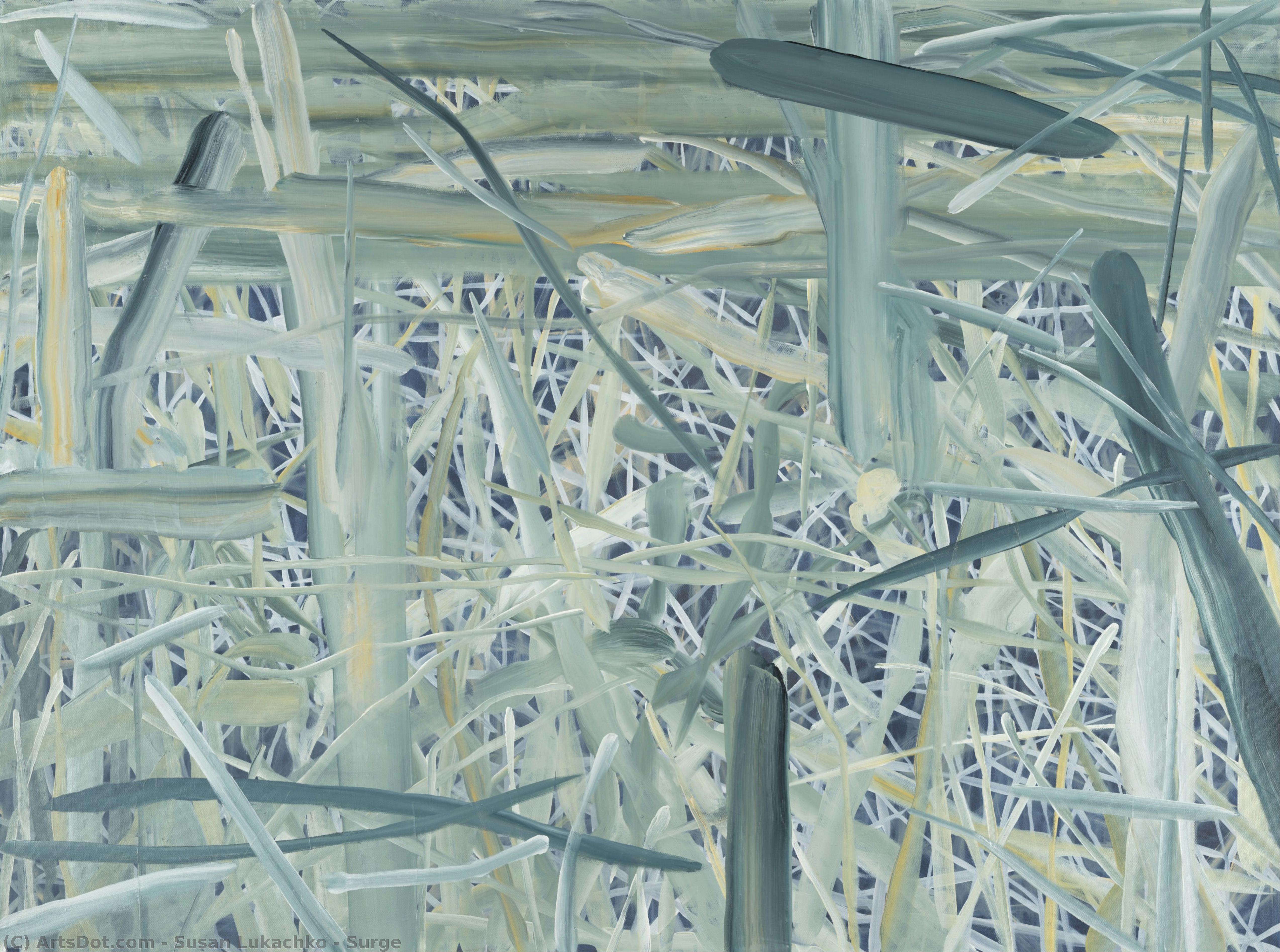 Surge — Susan Lukachko