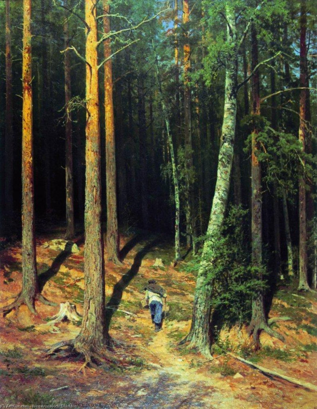 Pine Forest — Ivan Šiškinas