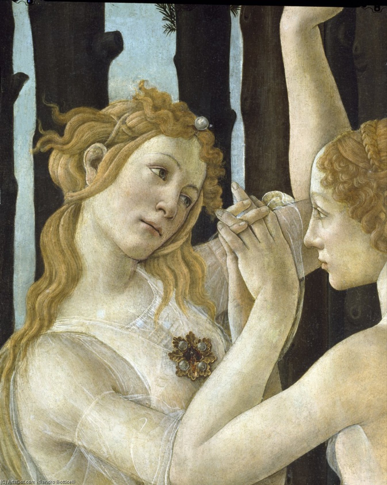 Primavera - — Sandro Botticelli