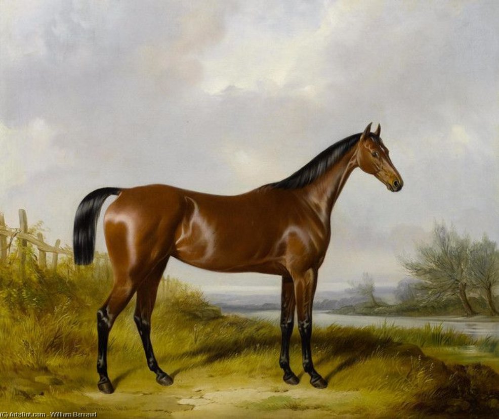 William Barraud - A Bay Hunter By A River