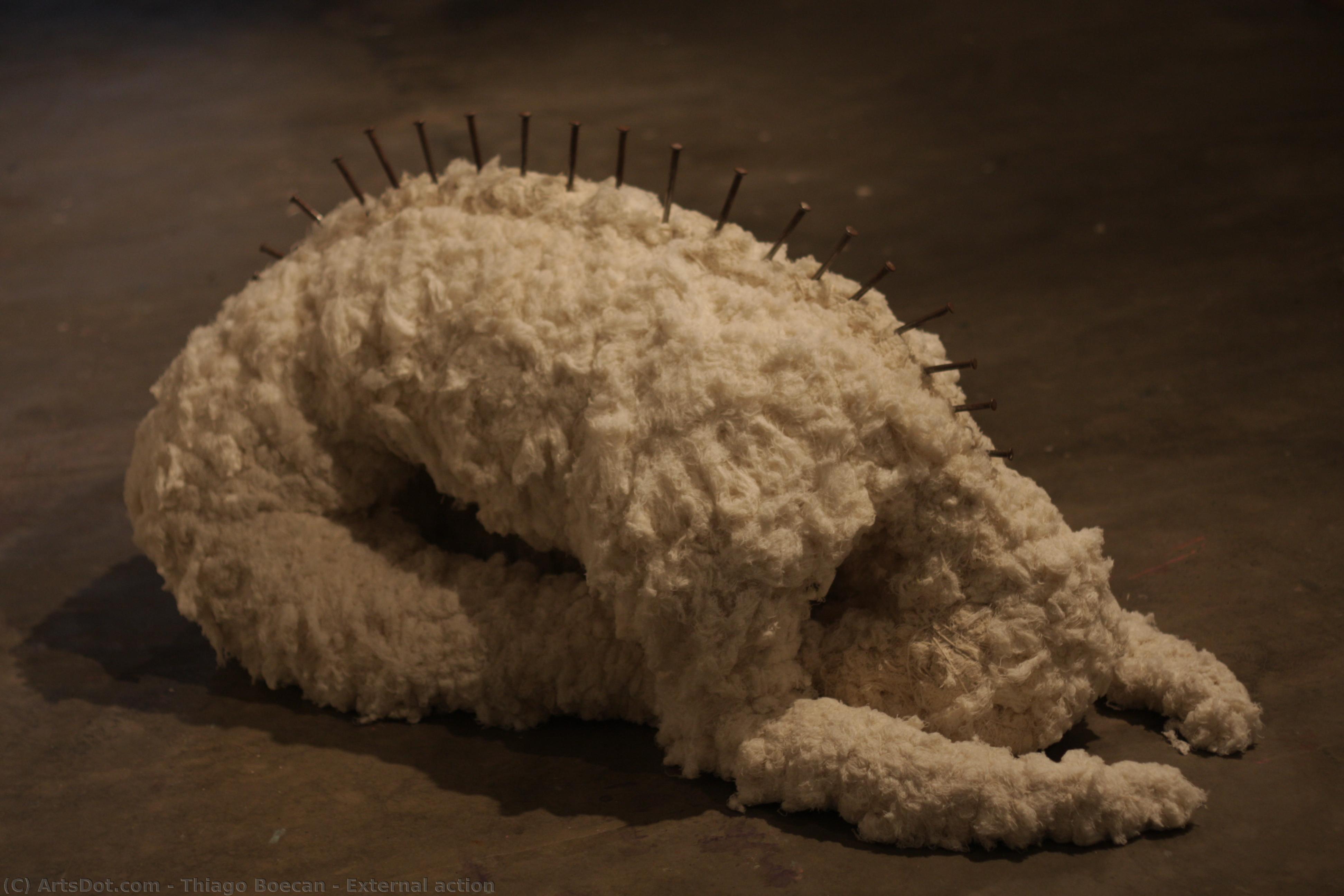 Thiago Boecan - External action