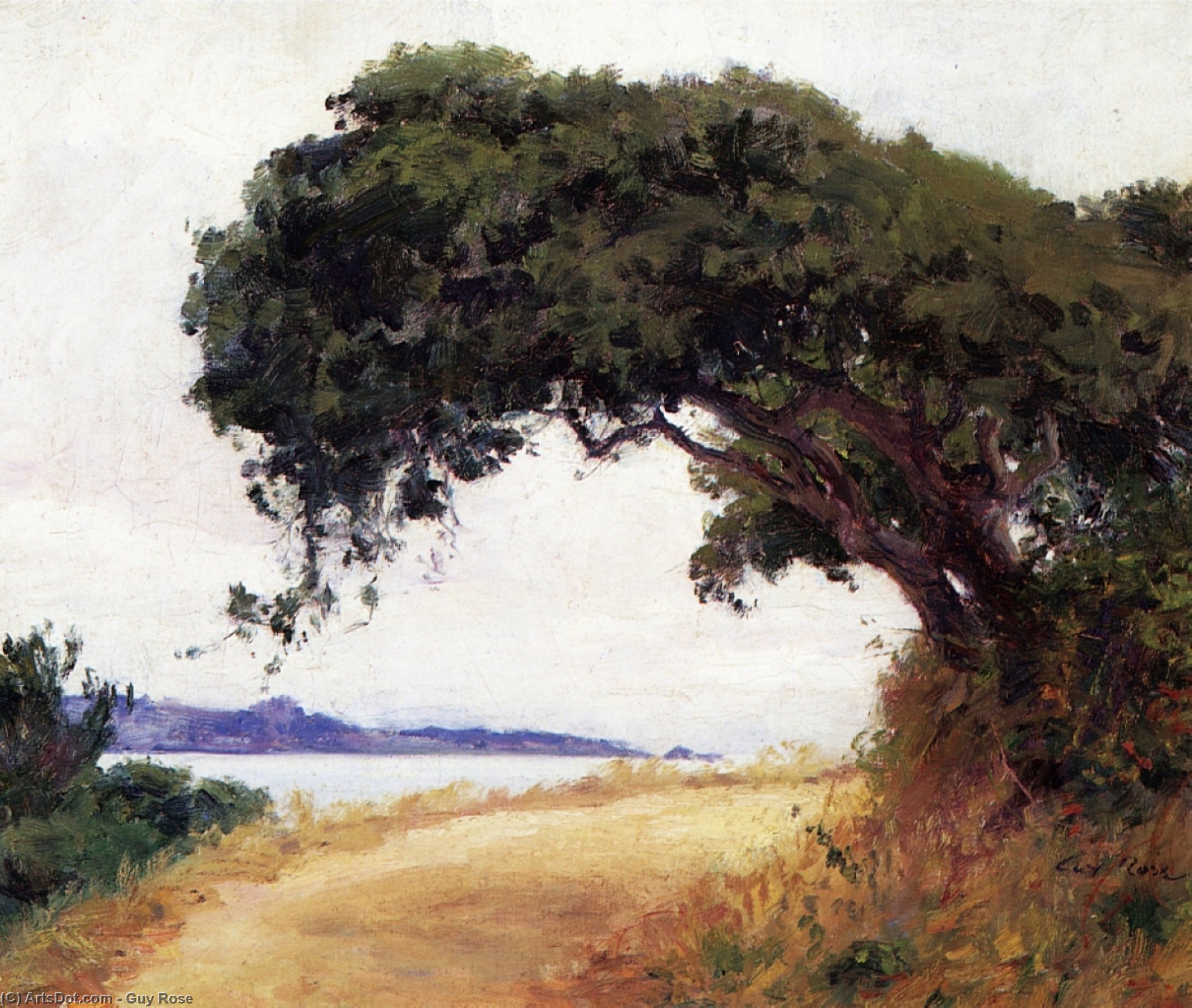 Point Lobos, Oak Tree — Guy Rose