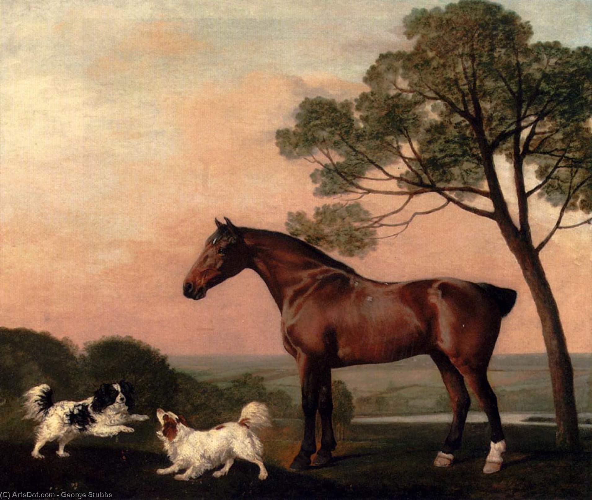 Admire George Stubbs’ ‘a Bay Hunter,’ A Masterful 1777 Equestrian Painting. Explore Its Realistic Detail, Serene Landscape & Aristocratic Appeal – A Timeless Art Treasure. A Bay Hunter With Two Spaniels Artworks_database /en/art/george-stubbs-a-bay-hun — जॉर्ज स्टब्स