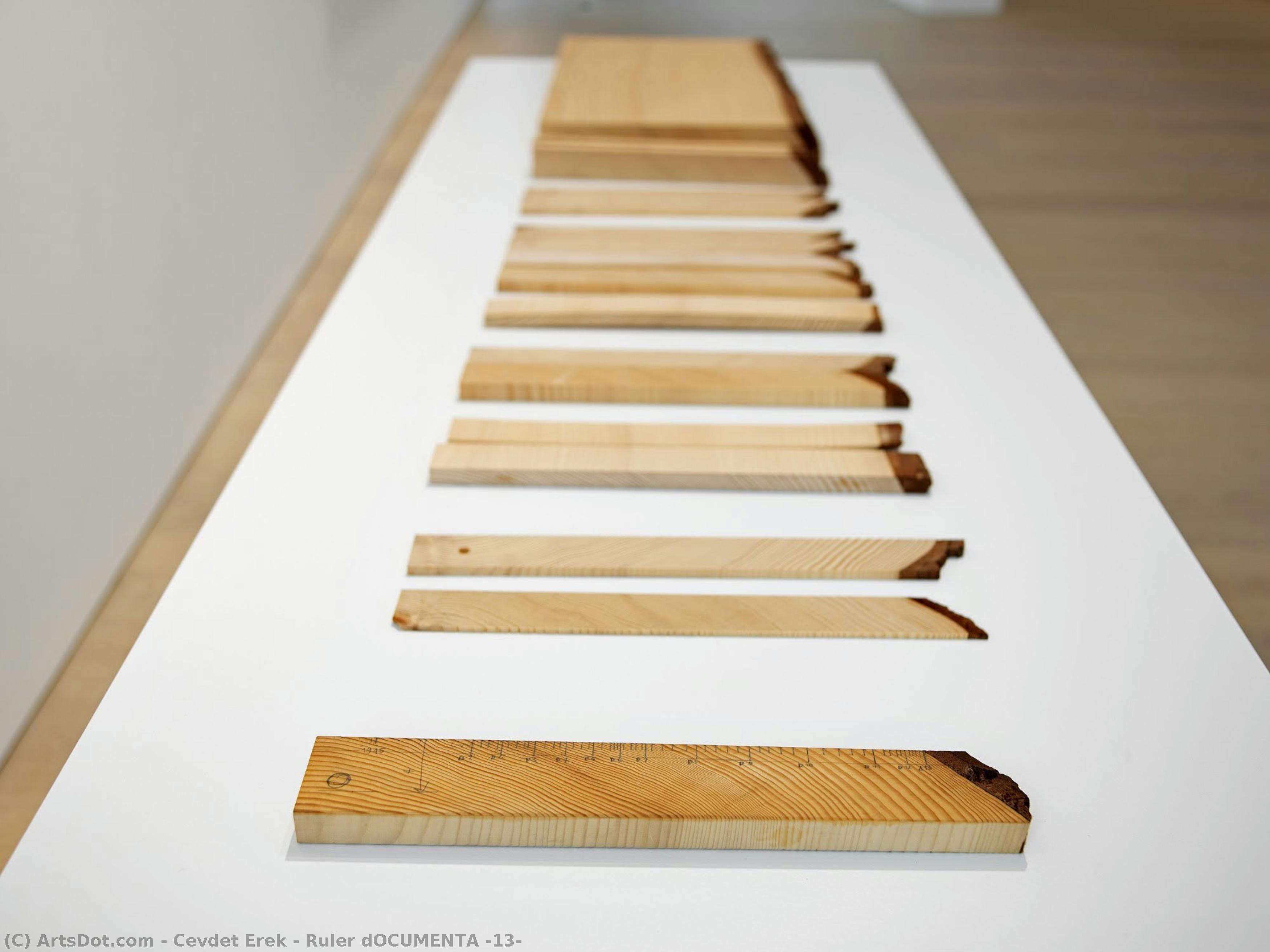 cevdet erek - Ruler dOCUMENTA (13)
