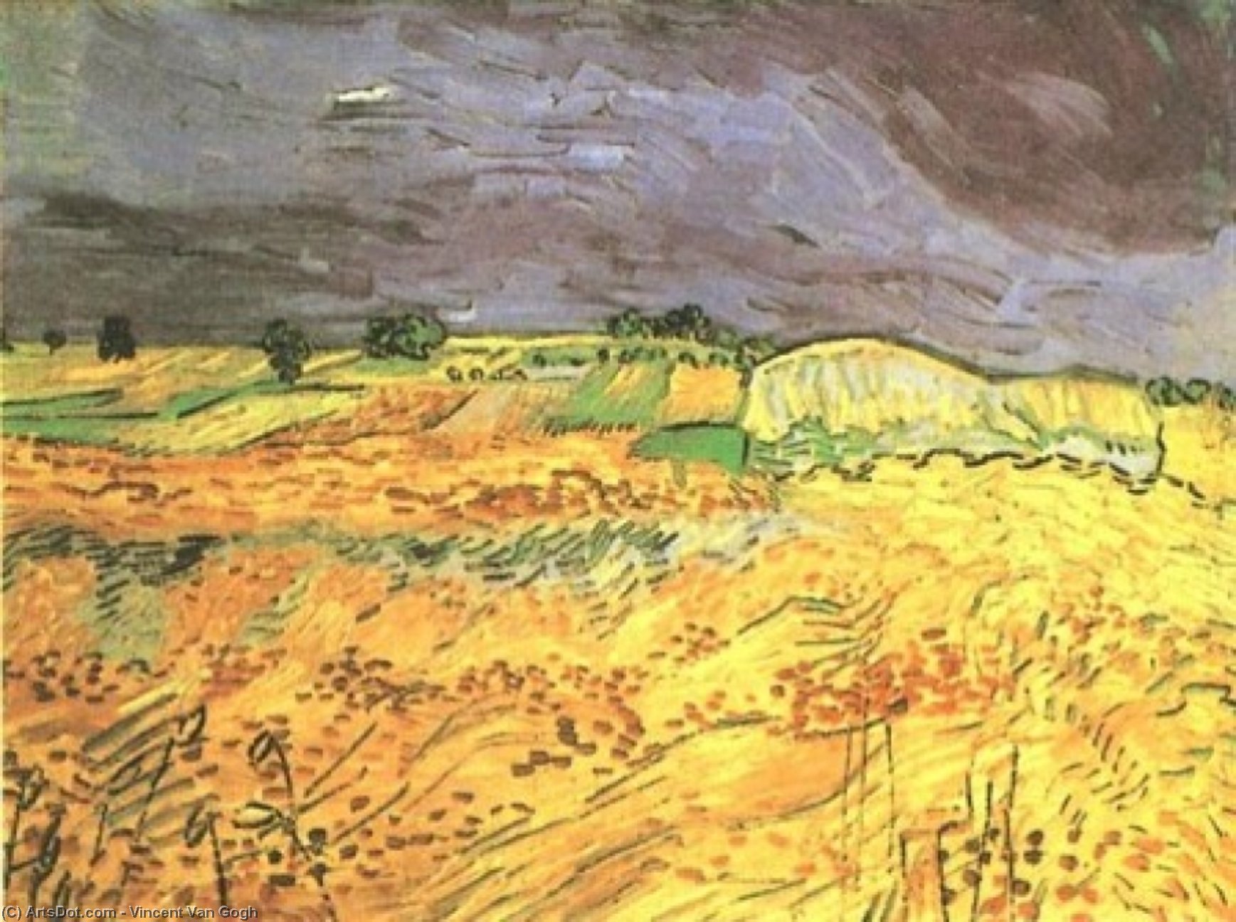 vincent willem van gogh - Felder