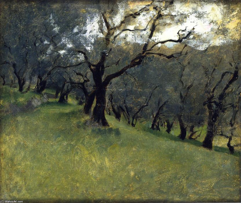 Olive Trees — John Singer Sargent