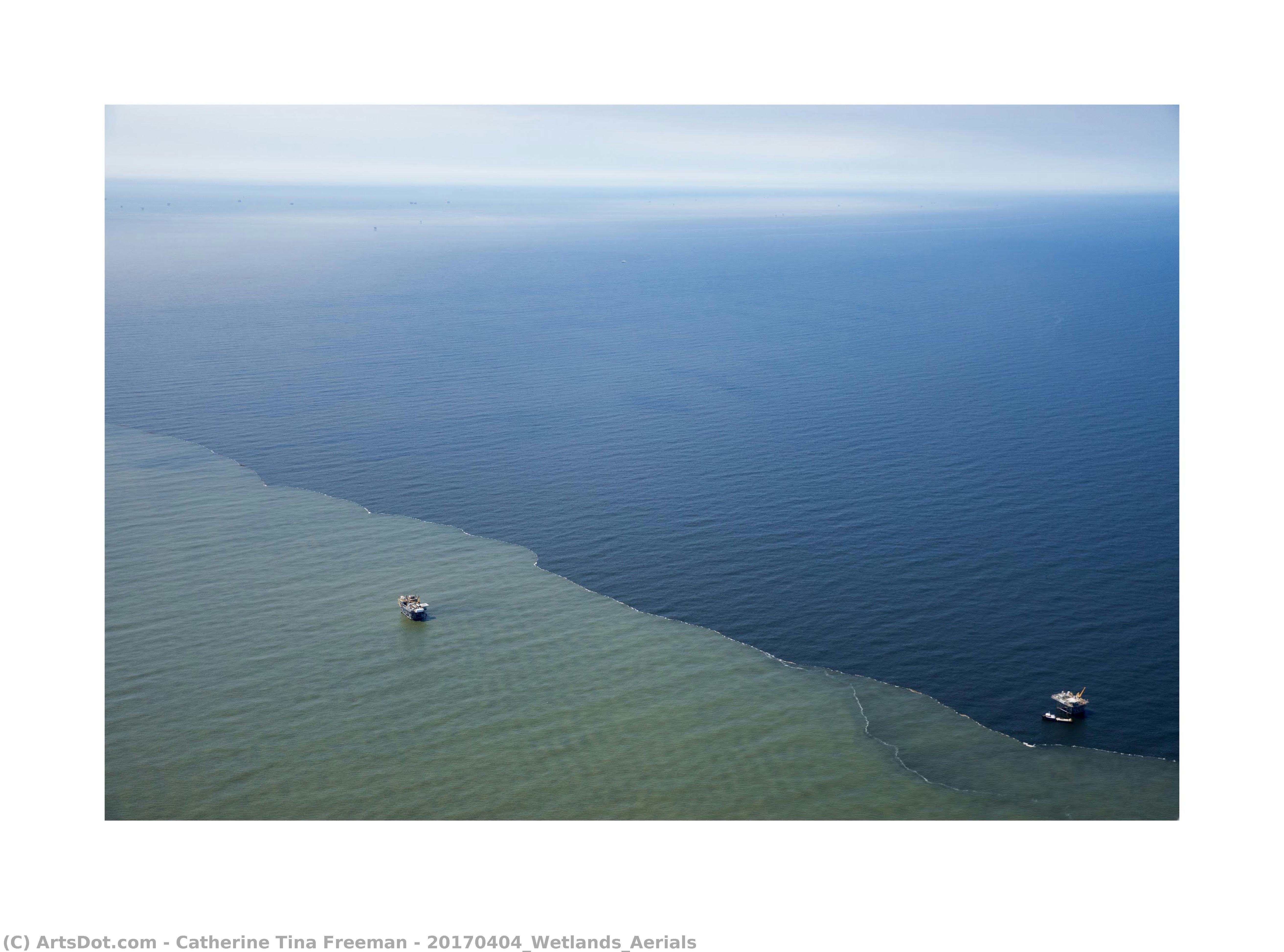Catherine Tina Freeman - 20170404_Wetlands_Aerials
