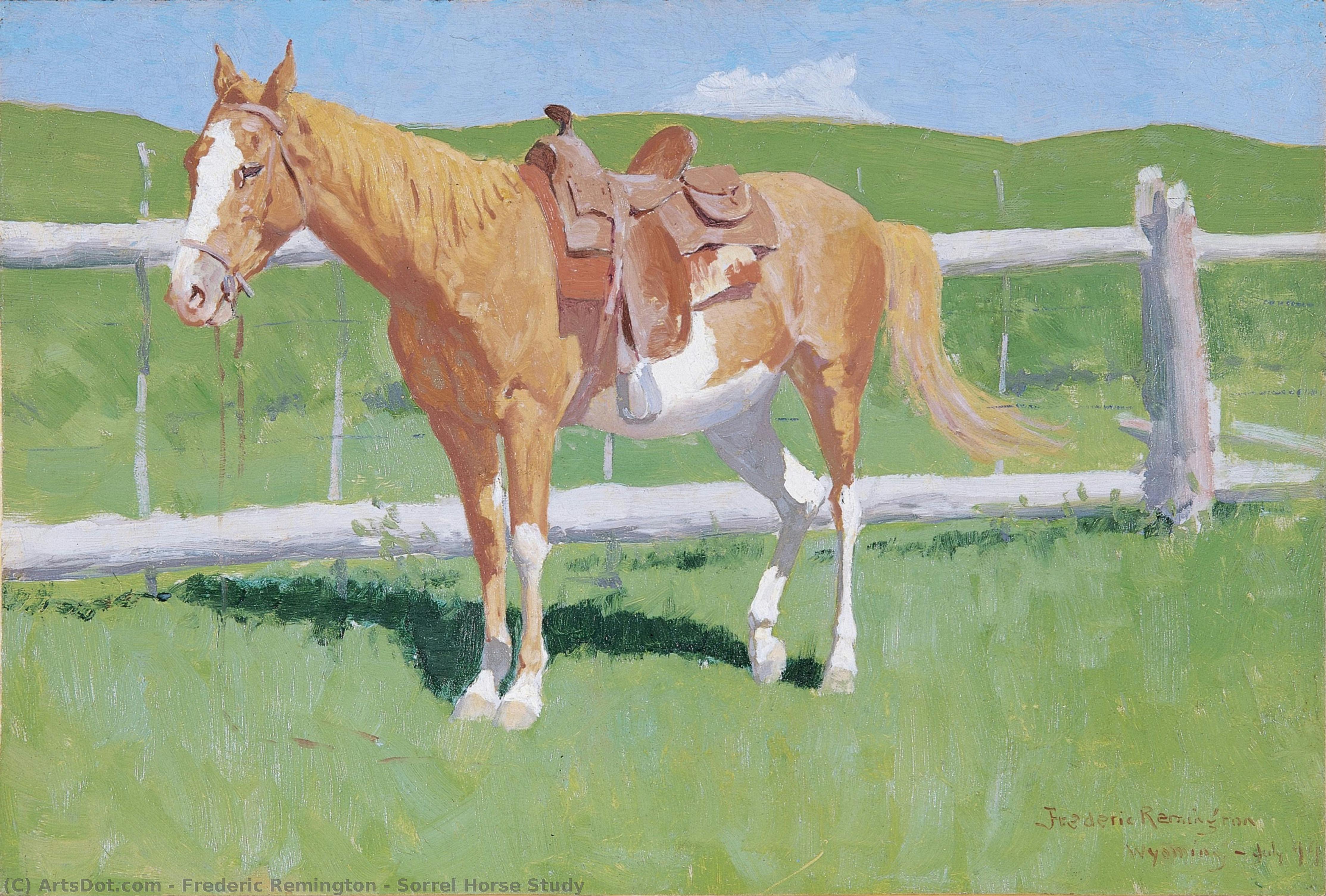 Studie Eines Braunen Pferdes — Frederic Remington