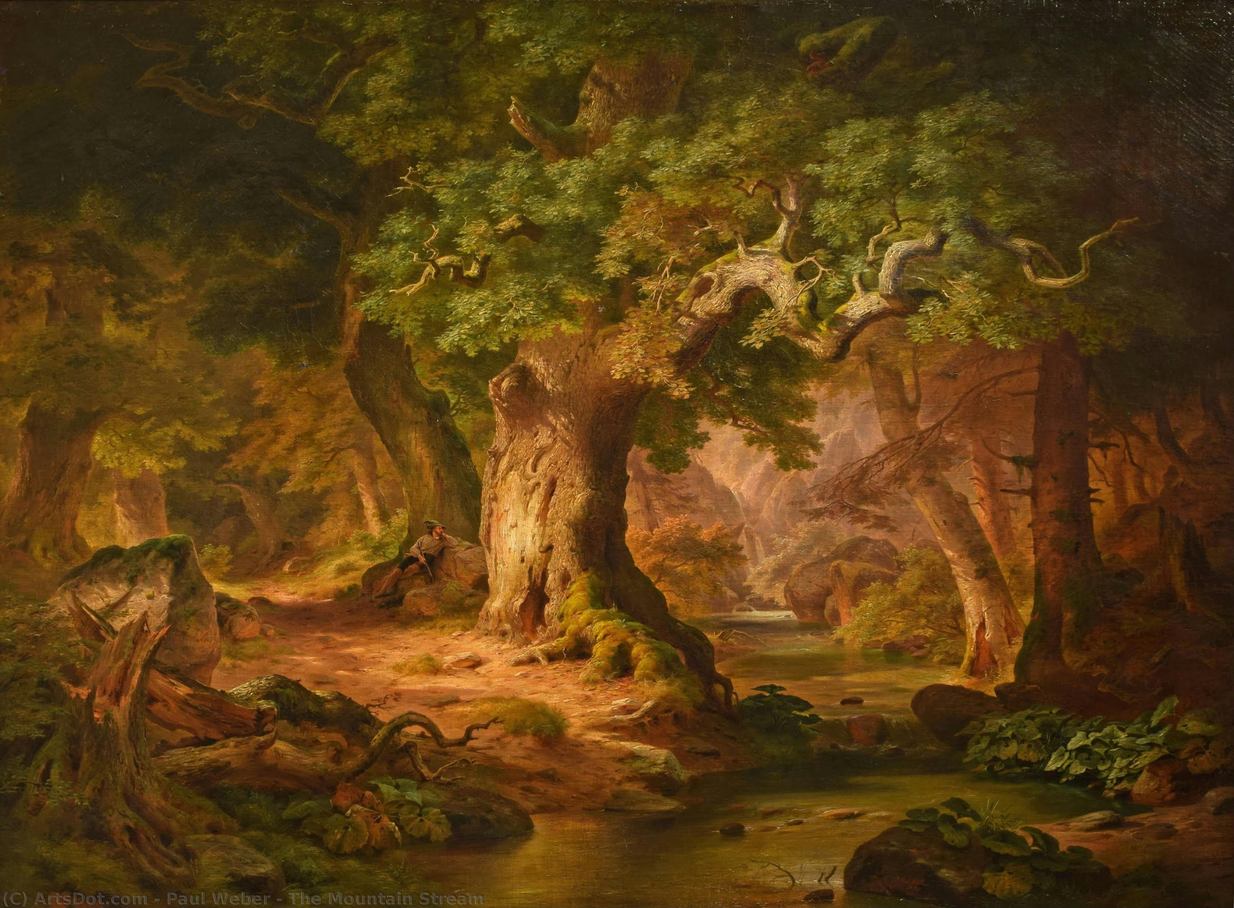The Mountain Stream — Paul Weber