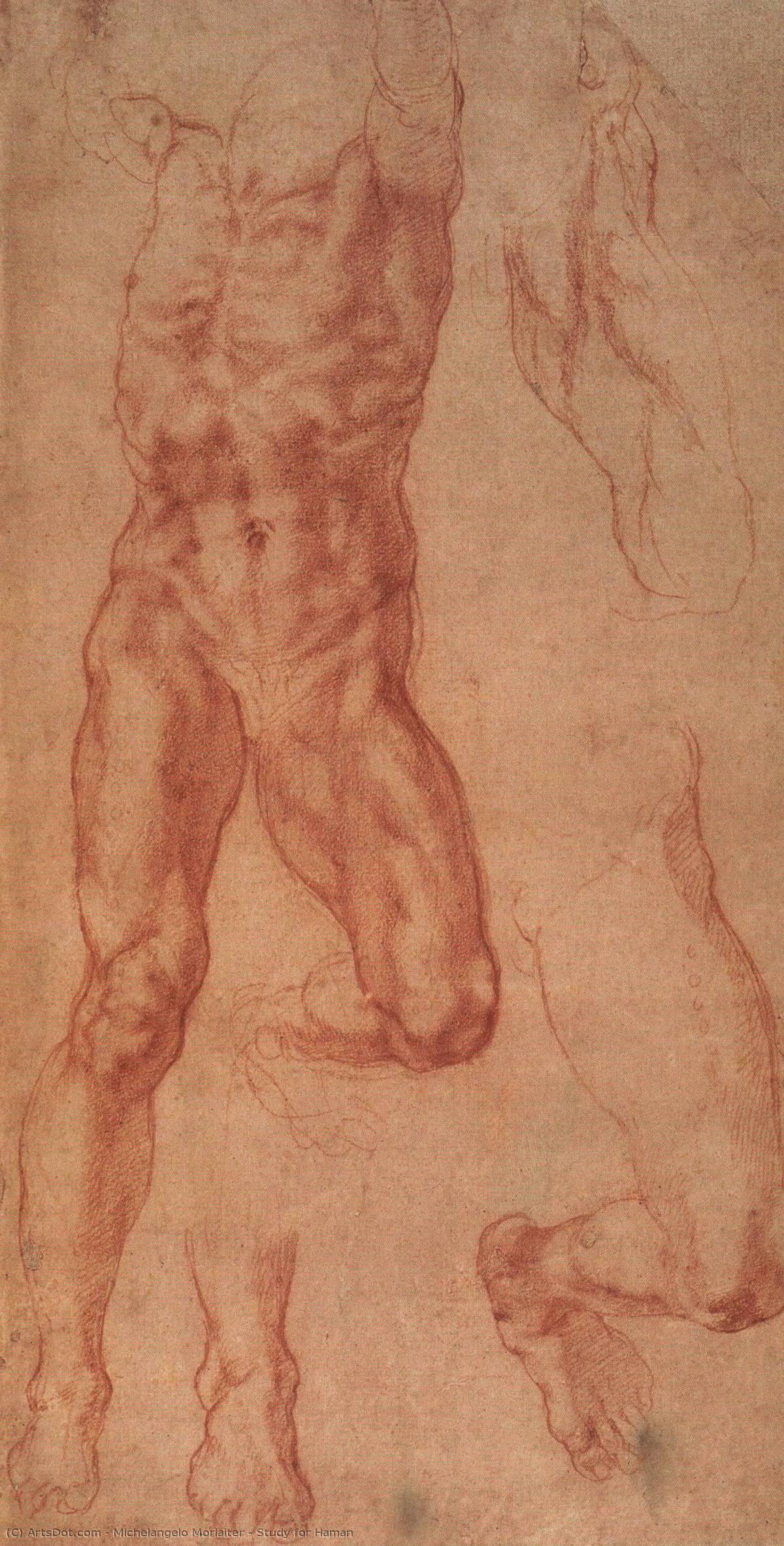 Study For Haman — Michelangelo Morlaiter