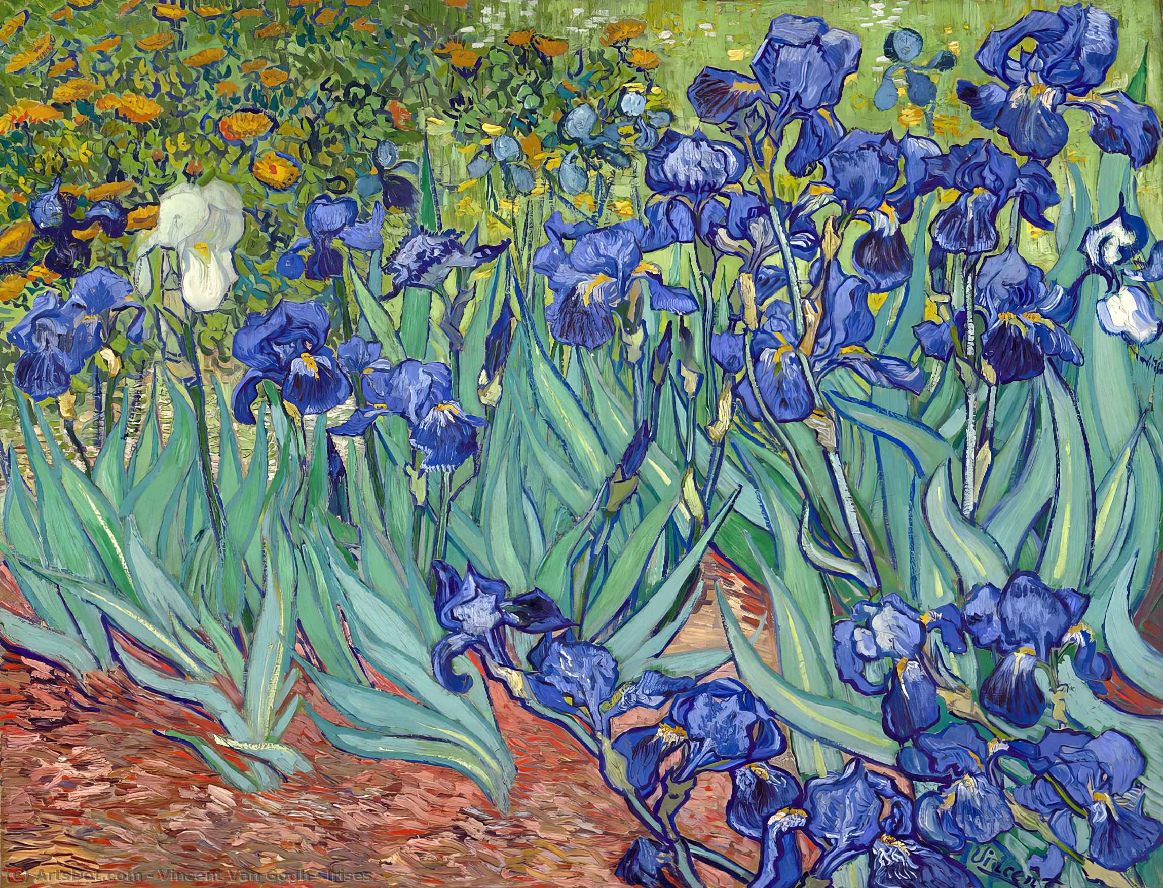 Vincent Willem Van Gogh Tutkuyla Boyanmış Bir Yaşam: Vincent Van Gogh Zundert Netherlands 1853 1890 Mavi Bir Senfoni: Van Gogh'un Zambakları 1889 71 X 93 Cm Zambaklar Irises /en/art/vincent-willem-van-gogh-irises-8xxhlm-en/ Irises (painting) - — Vincent Van Gogh