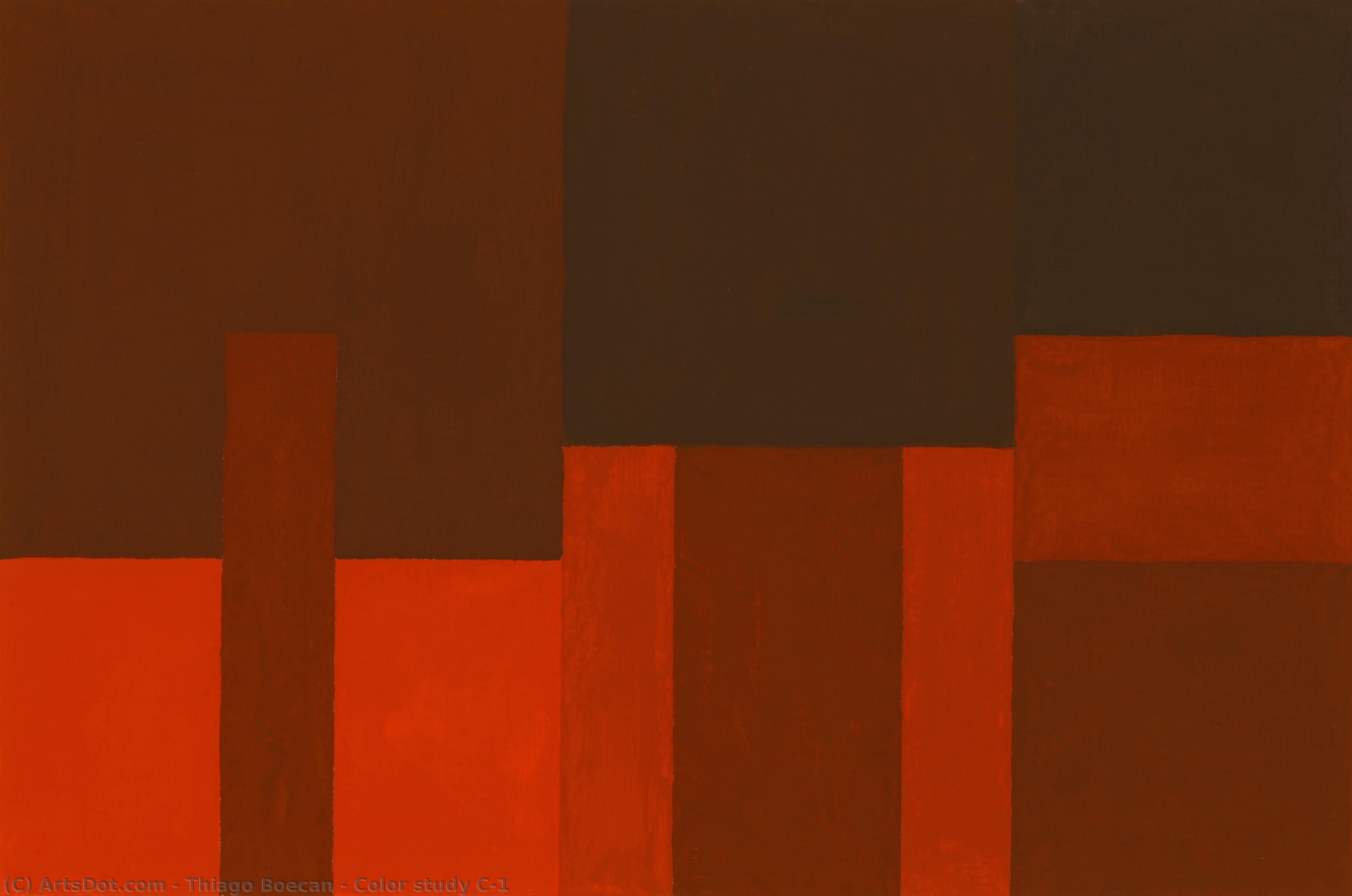 Color Study C-1 — Thiago Boecan