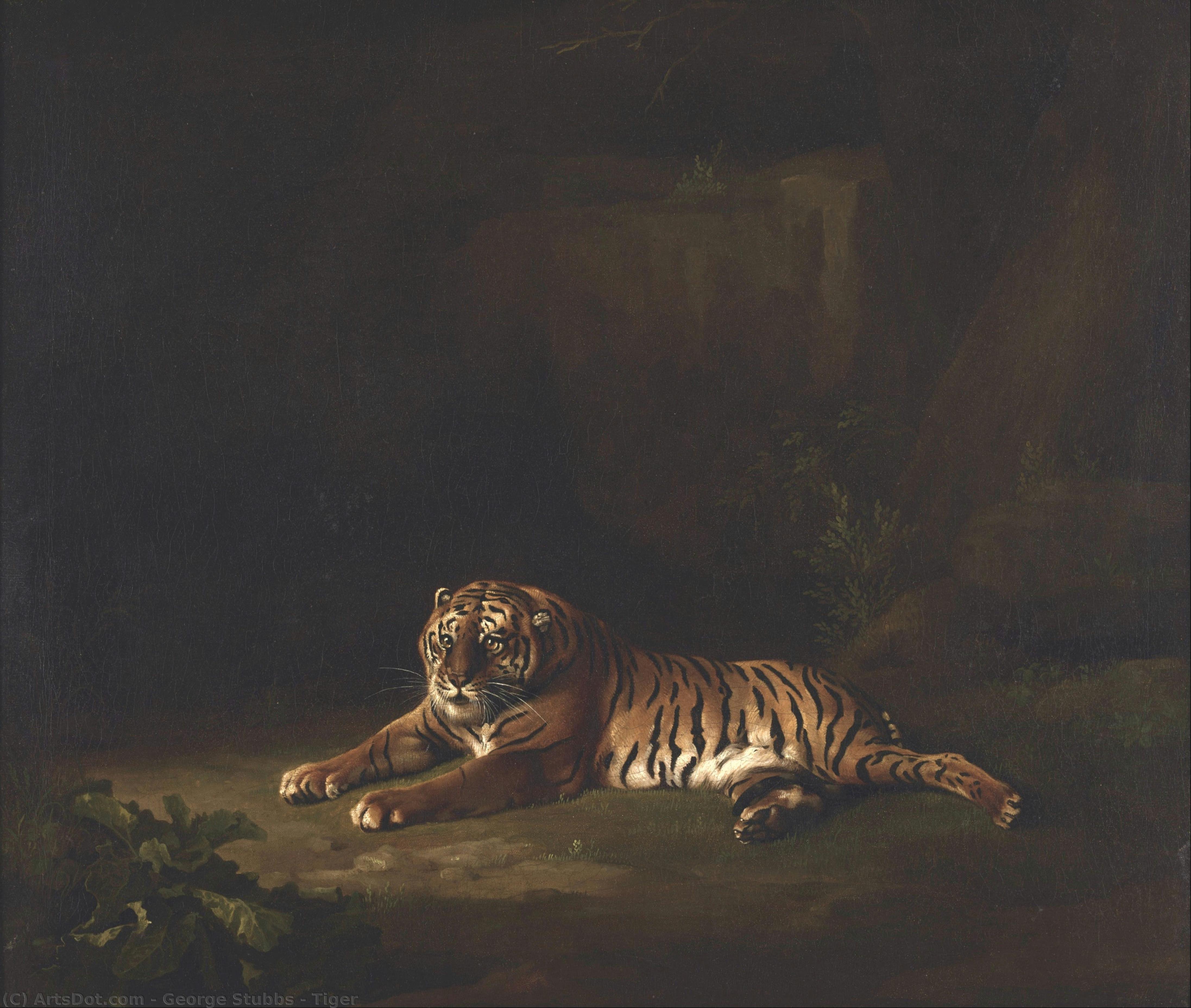 Tiger — George Stubbs