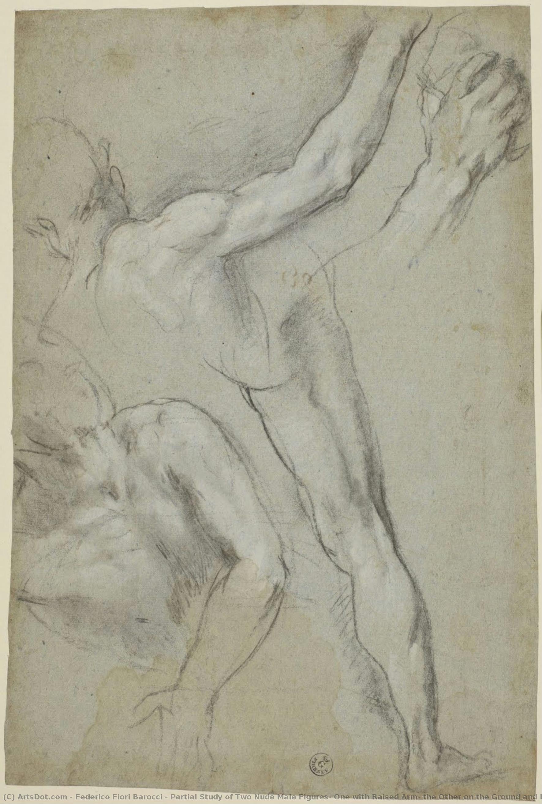 Studio Parziale Di Due Figure Maschili Nude, Una Con Il Braccio Alzato, L'altra A Terra E Studi Di Gambe E Braccia Della Prima (per Il “martirio Di San Vitale”, Milano, Pinacoteca Di Brera) — Federico Barocci