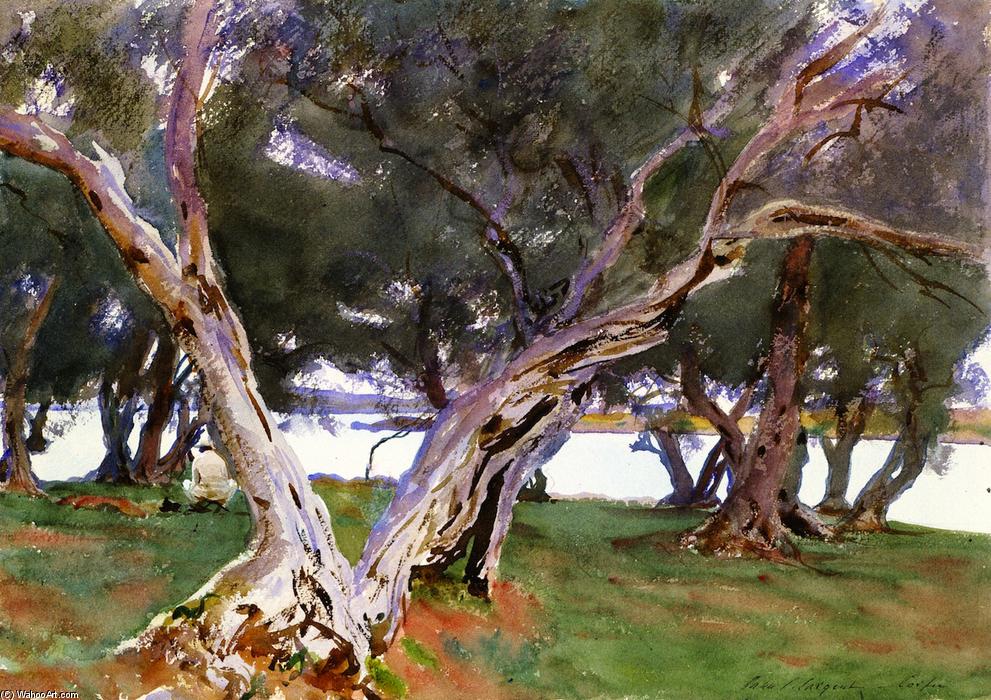 John Singer Sargent - Olive Trees, Corfu