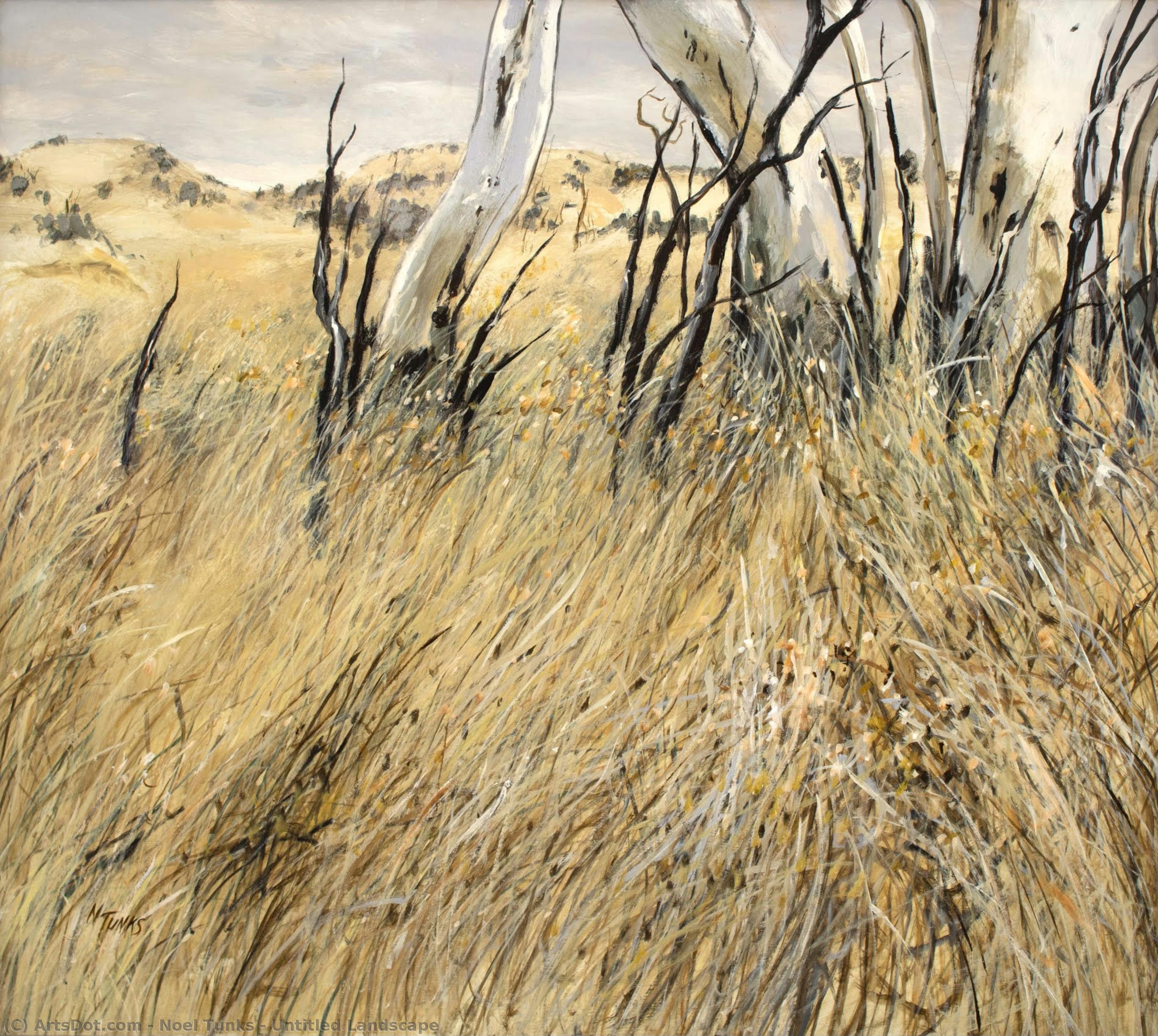 noel tunks - Untitled Landscape