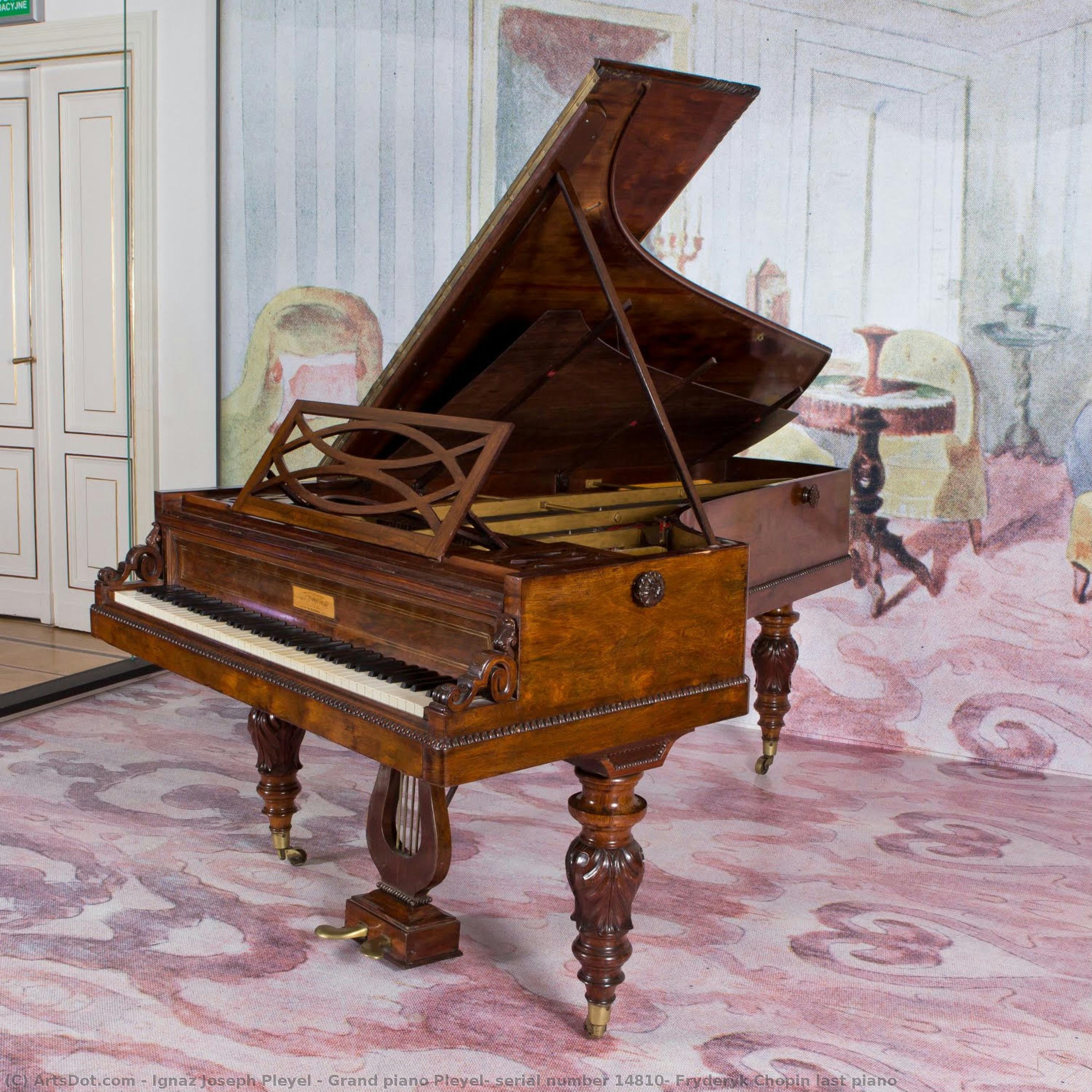 Flügel Pleyel, Seriennummer 14810, Fryderyk Chopins Letztes Klavier — Ignaz Joseph Pleyel
